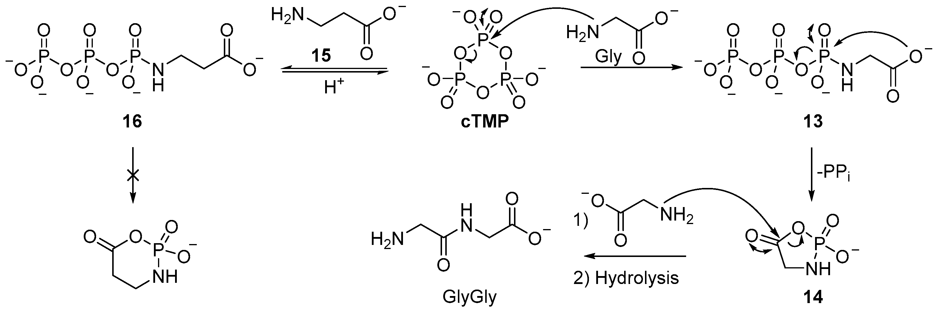 Life 07 00031 sch005