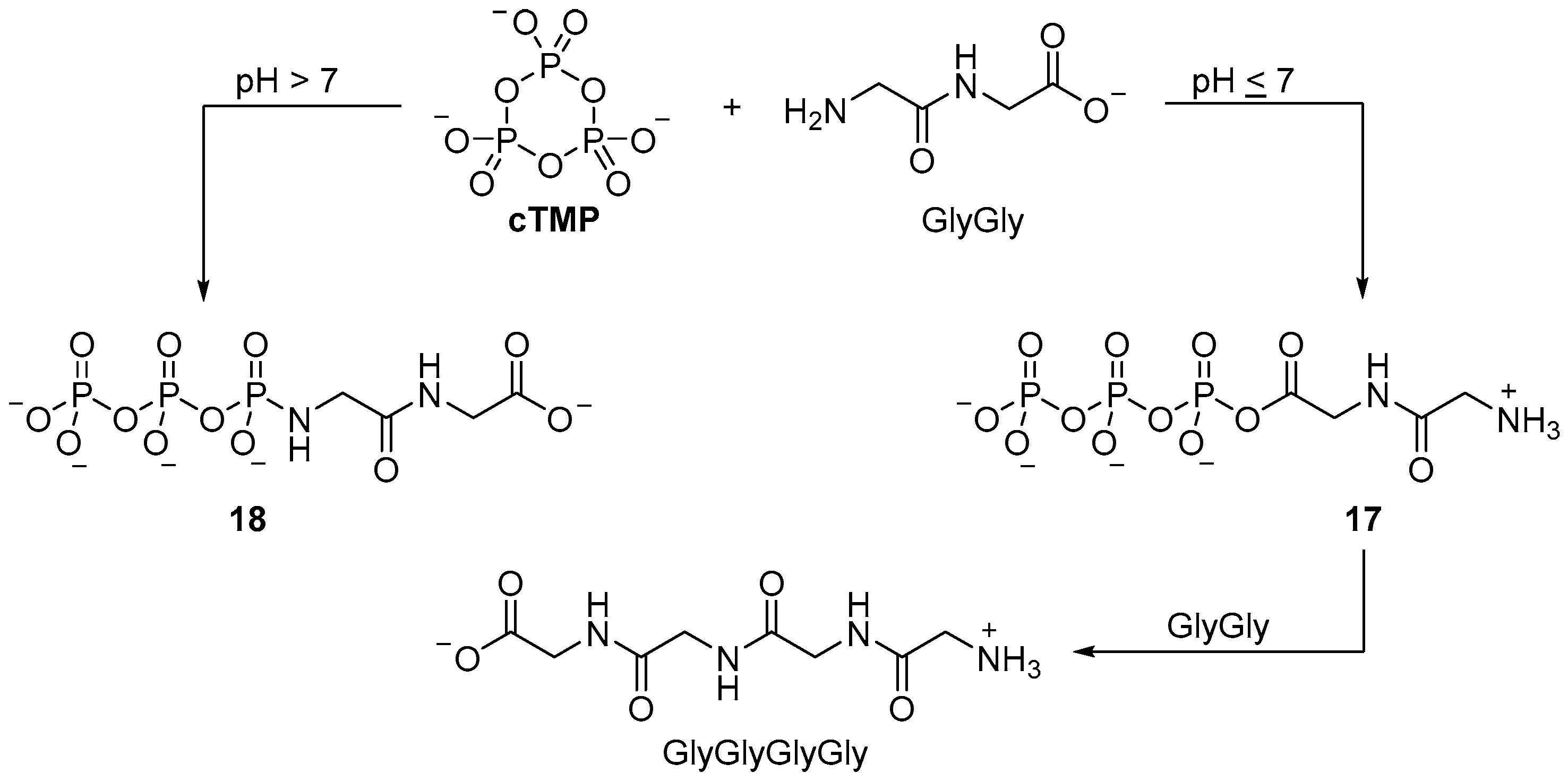 Life 07 00031 sch006