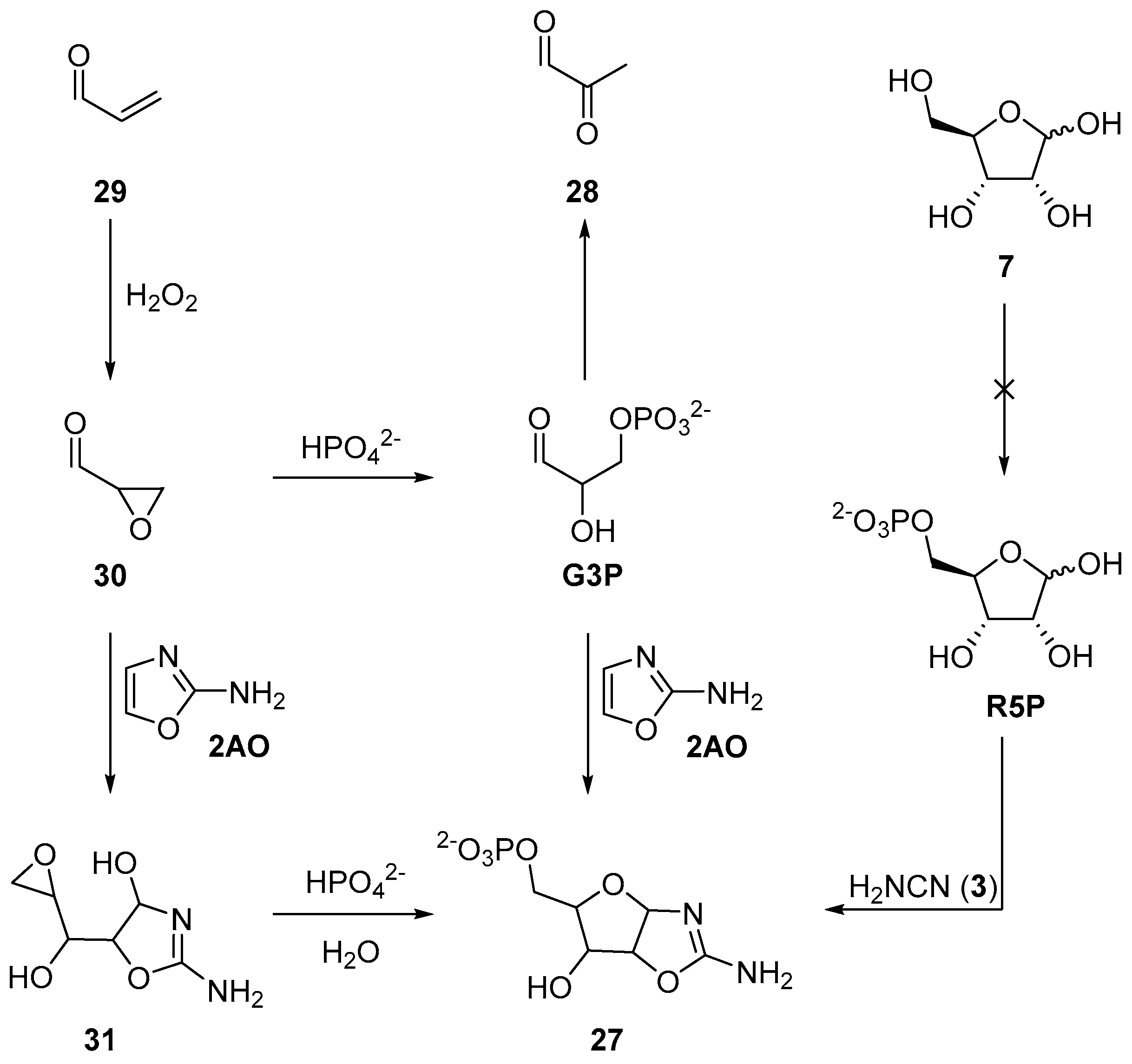 Life 07 00031 sch010