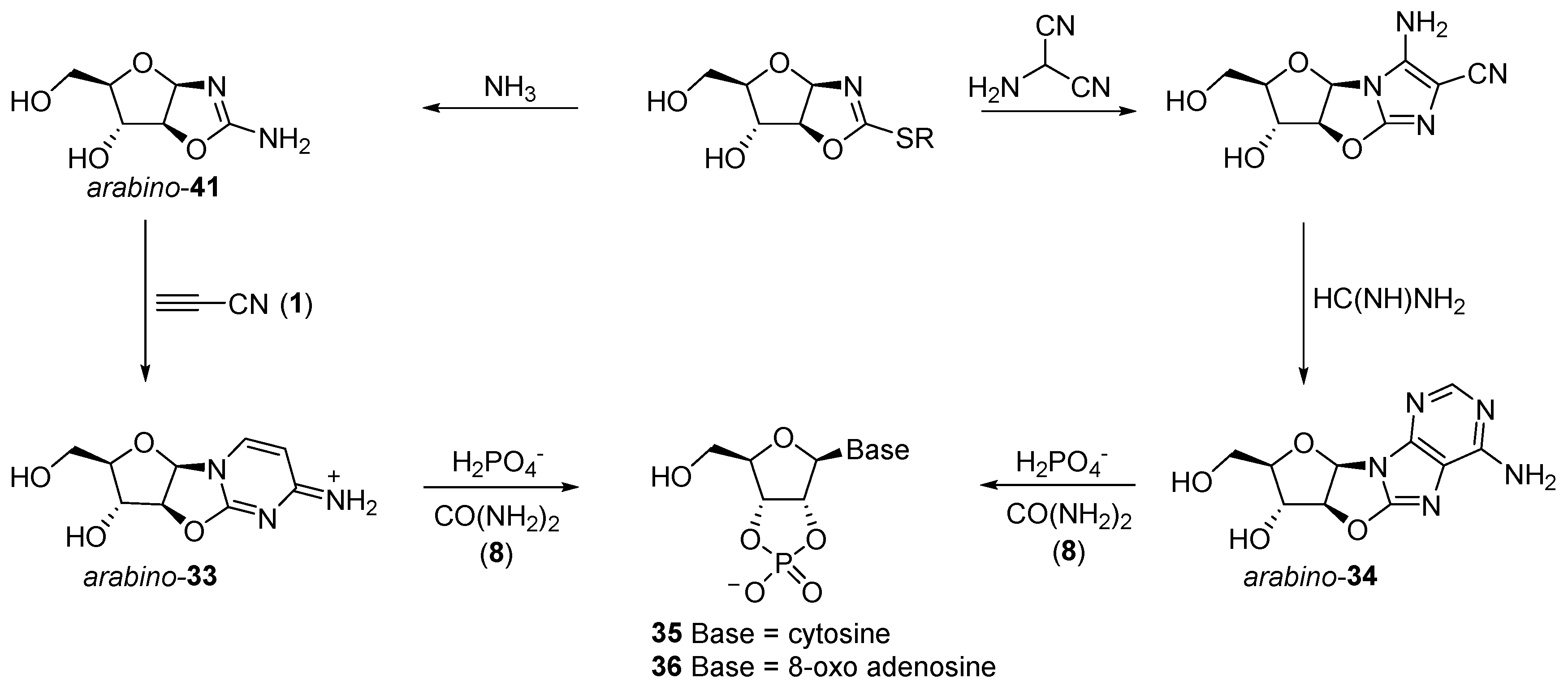 Life 07 00031 sch012