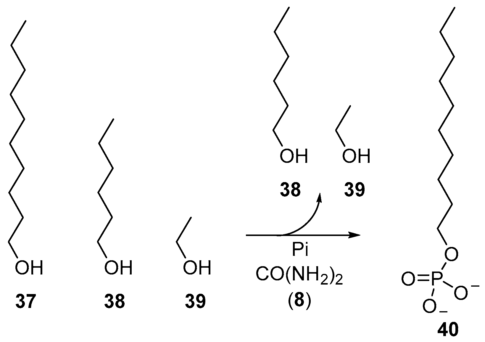 Life 07 00031 sch013