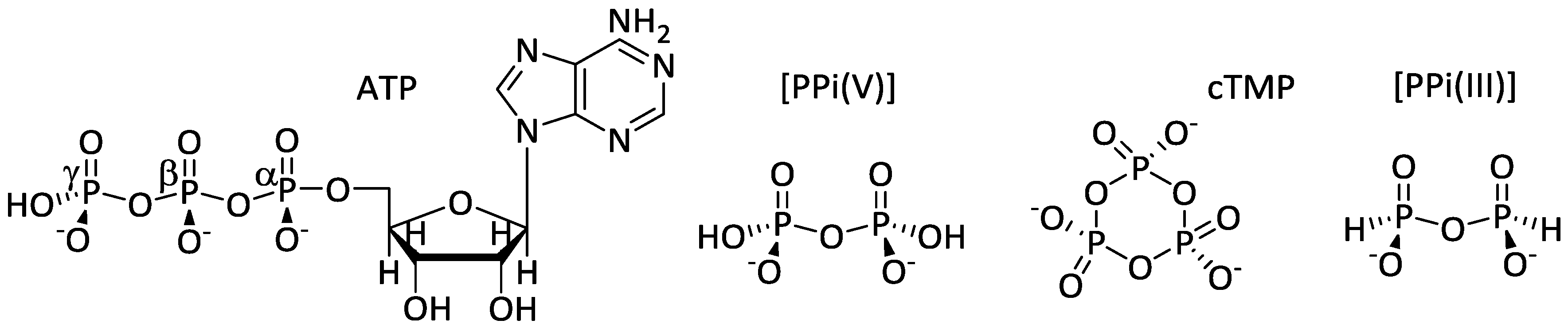 Life 07 00045 g001 Life 07 00045 g001