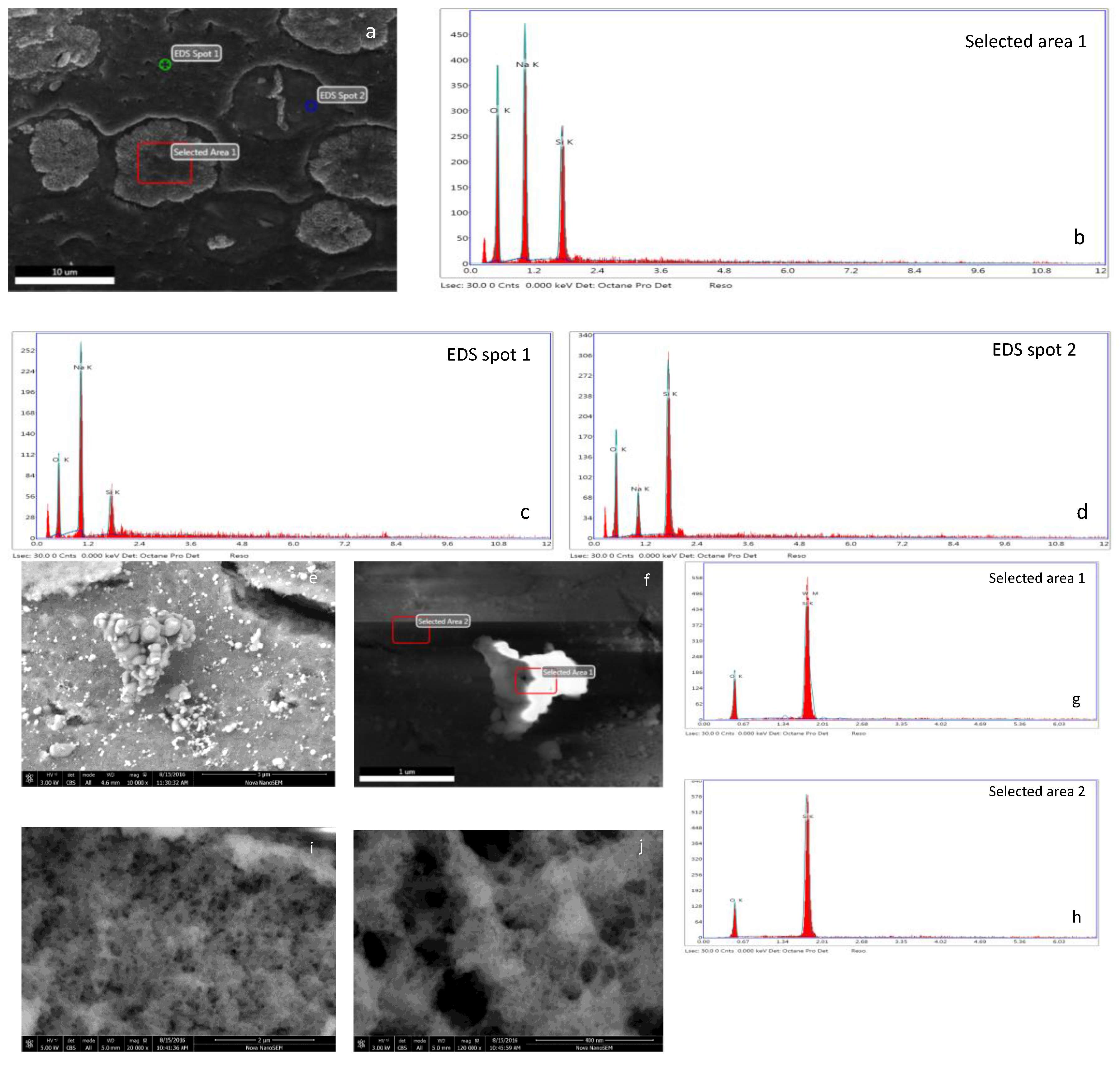 Life 07 00045 g004 Life 07 00045 g004