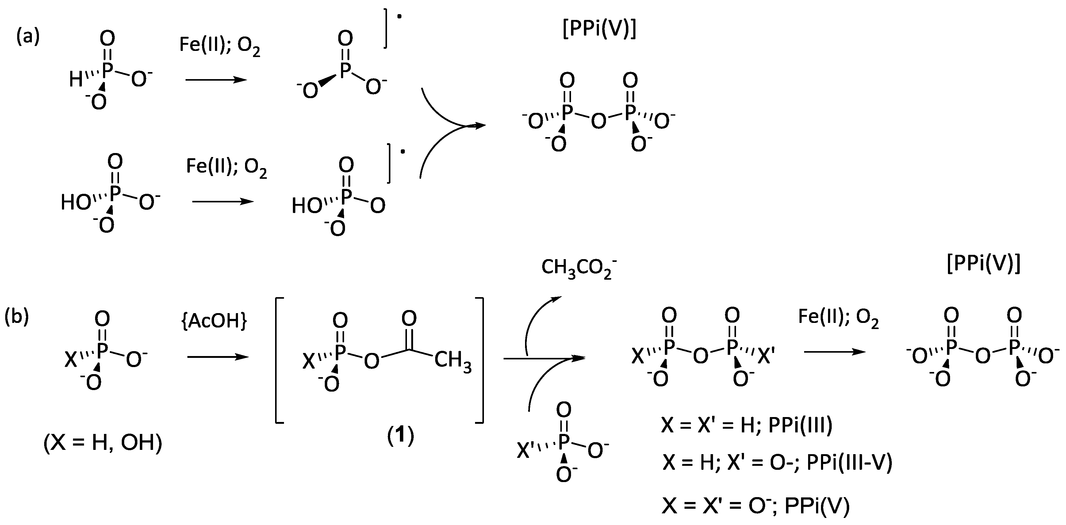 Life 07 00045 sch001 Life 07 00045 sch001