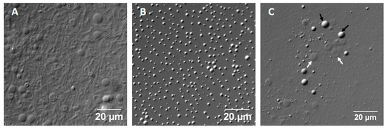 Life 07 00051 g0a1 550