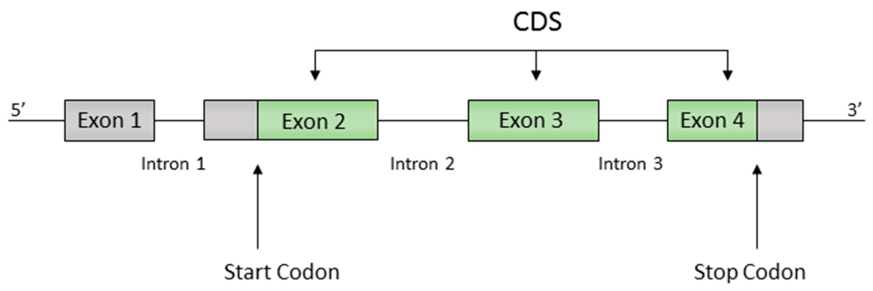 Life 07 00052 g001 Life 07 00052 g001