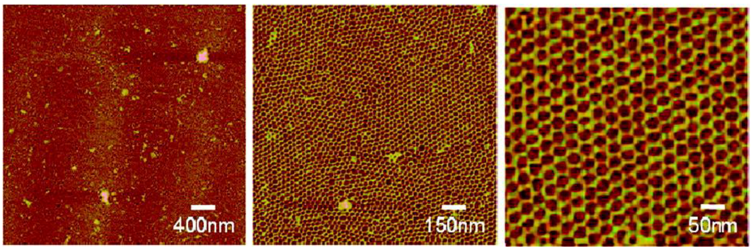 Life 08 00010 g002 Life 08 00010 g002