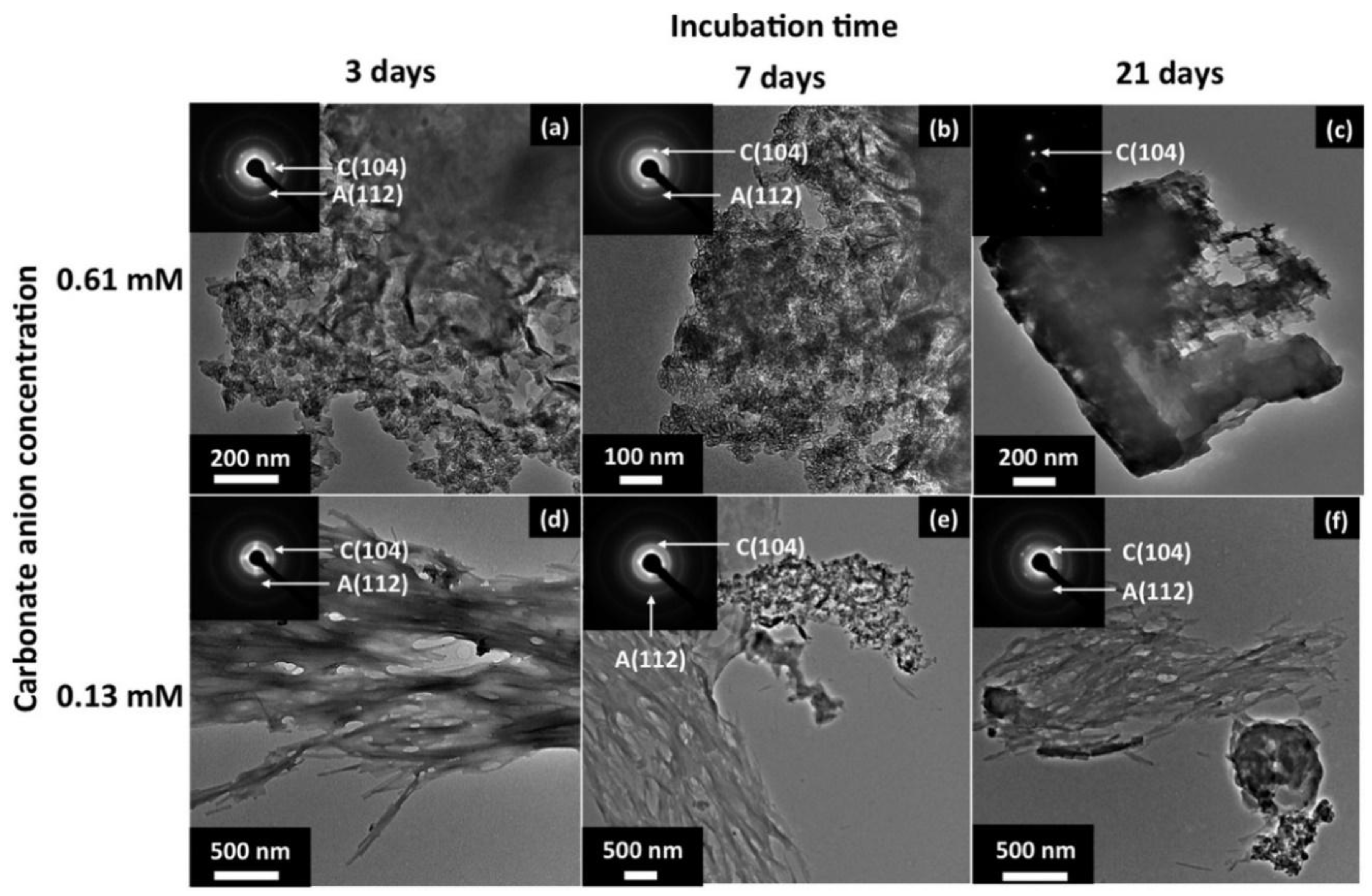 Life 08 00010 g004 Life 08 00010 g004
