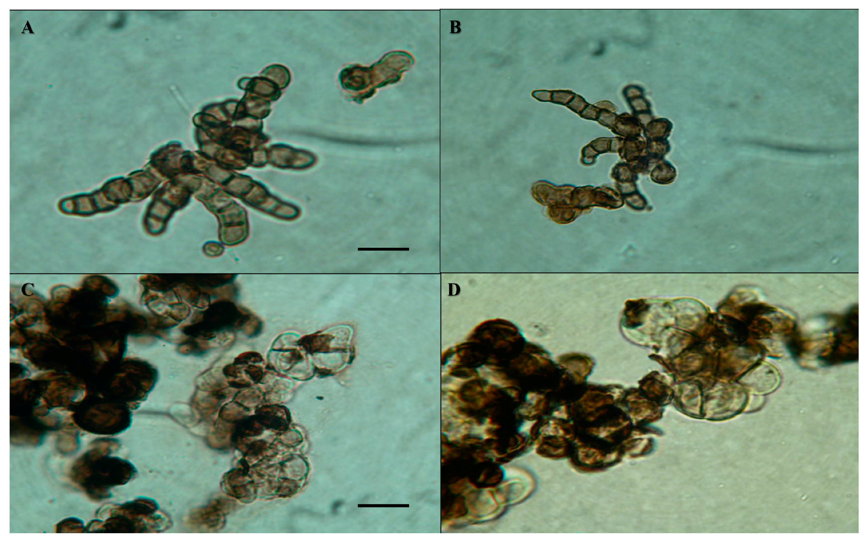 Life 08 00023 g001 Life 08 00023 g001