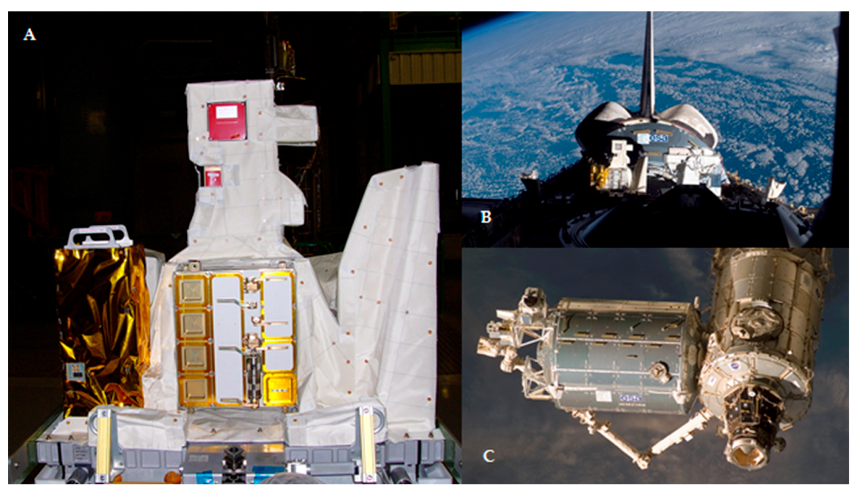 Life 08 00023 g002 Life 08 00023 g002