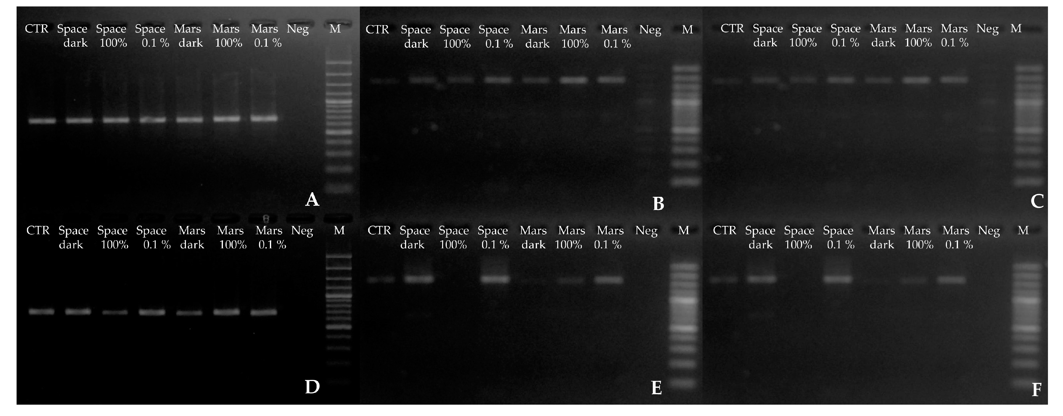 Life 08 00023 g003 Life 08 00023 g003
