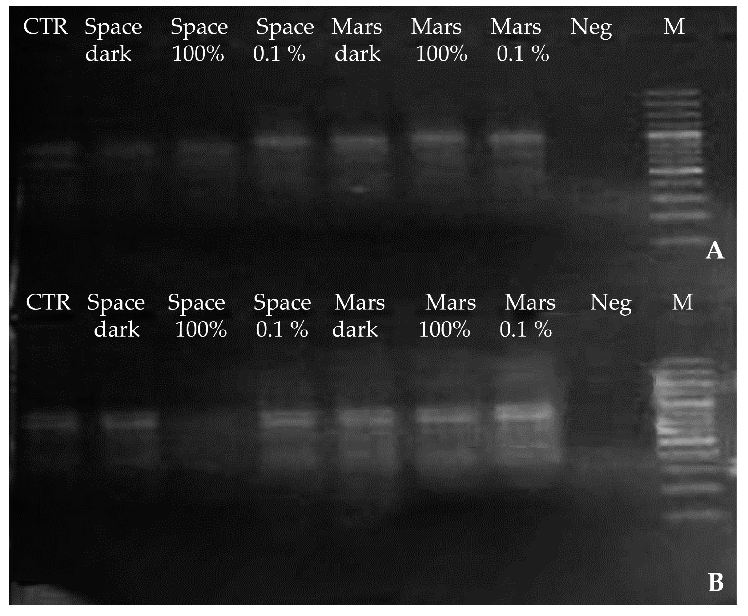 Life 08 00023 g007 Life 08 00023 g007