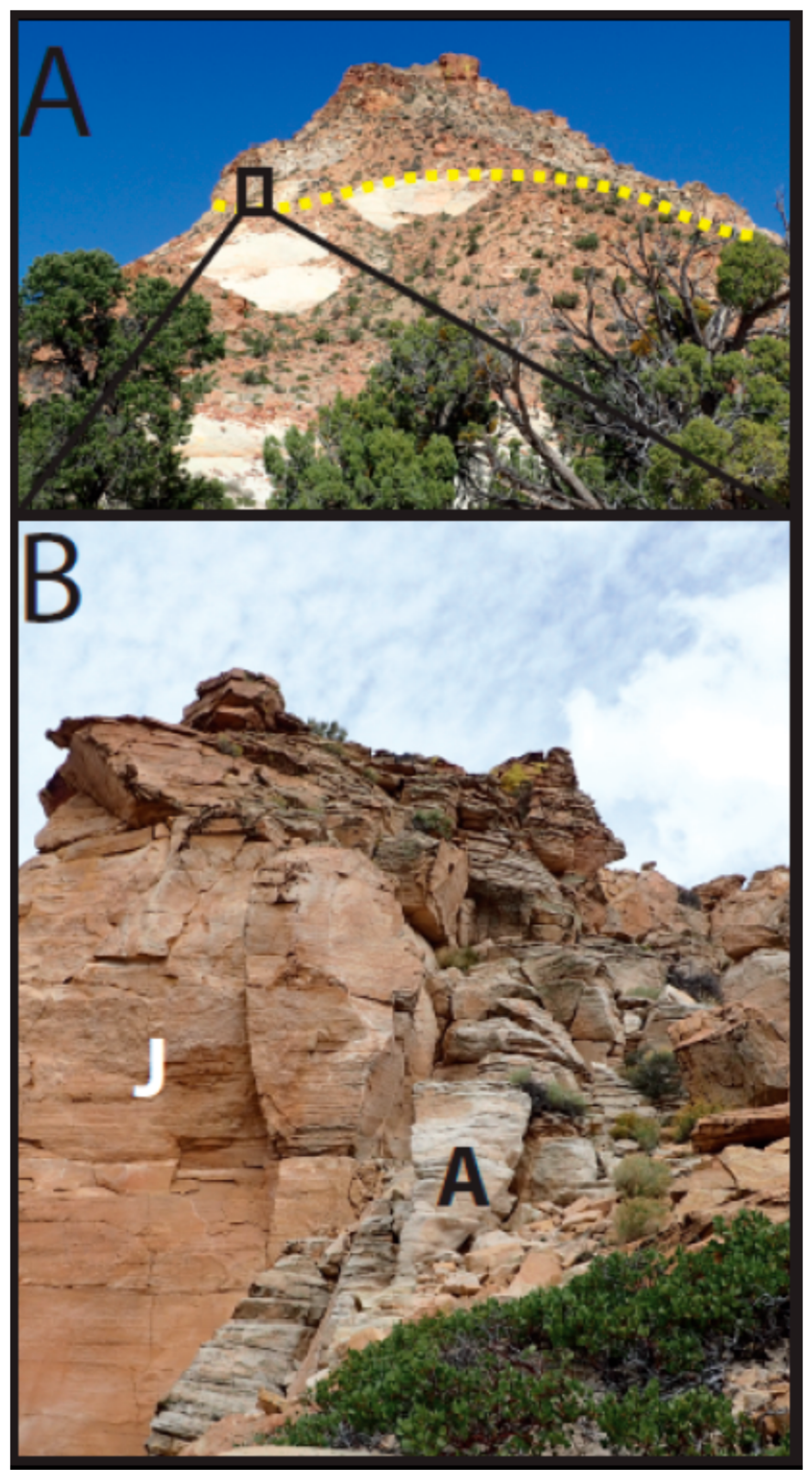 Life 08 00032 g001 Life 08 00032 g001