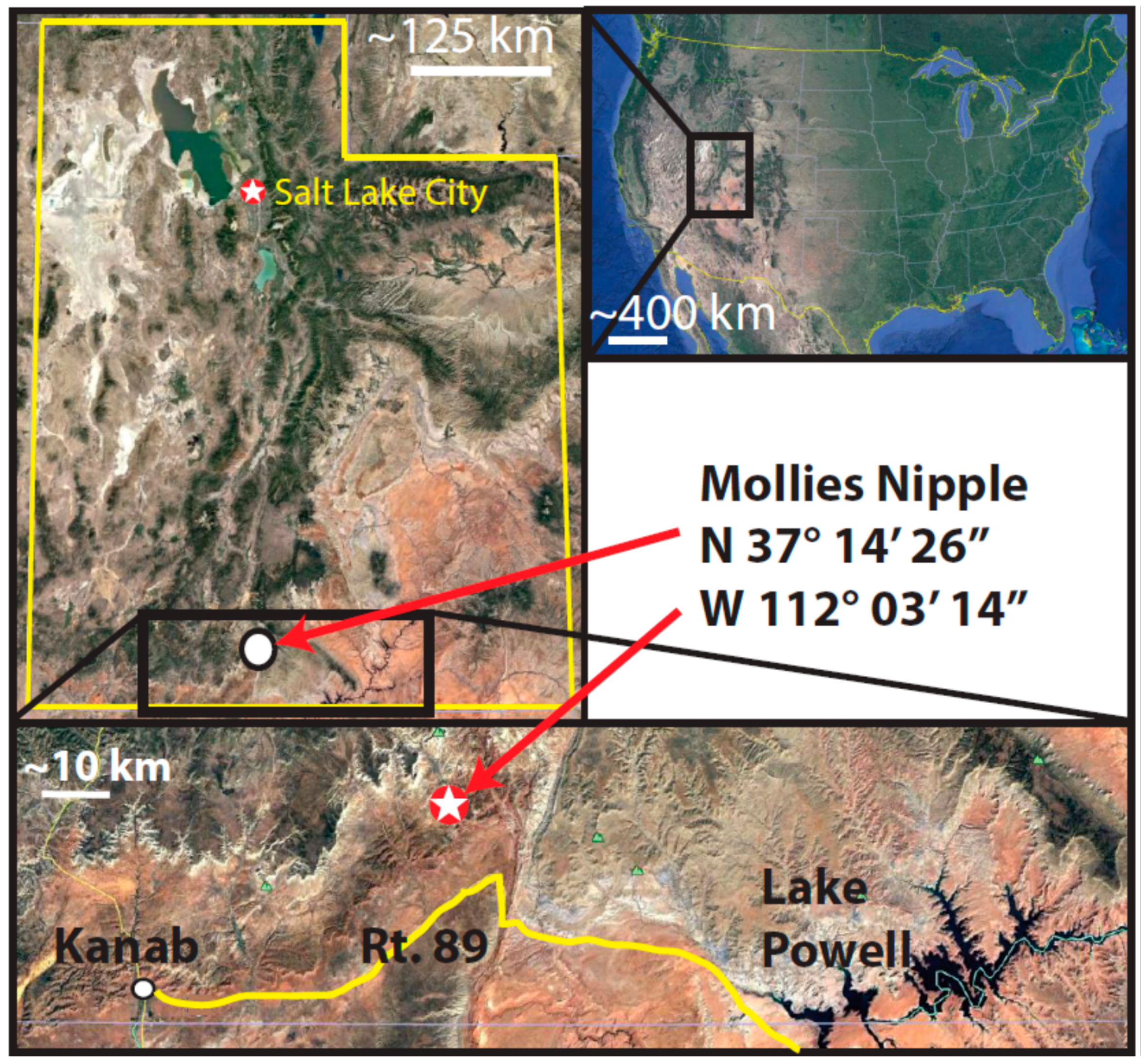 Life 08 00032 g002 Life 08 00032 g002