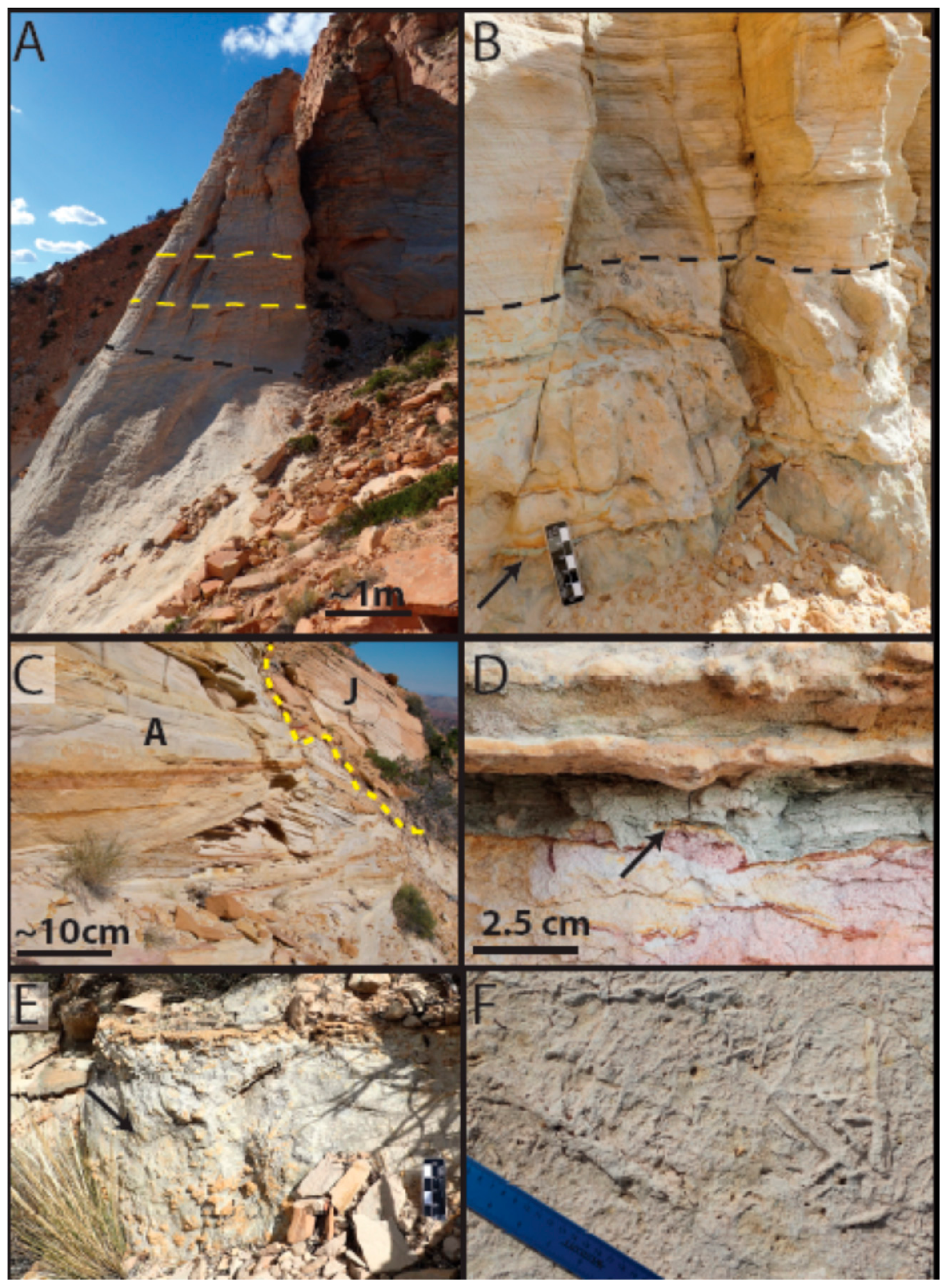 Life 08 00032 g005 Life 08 00032 g005