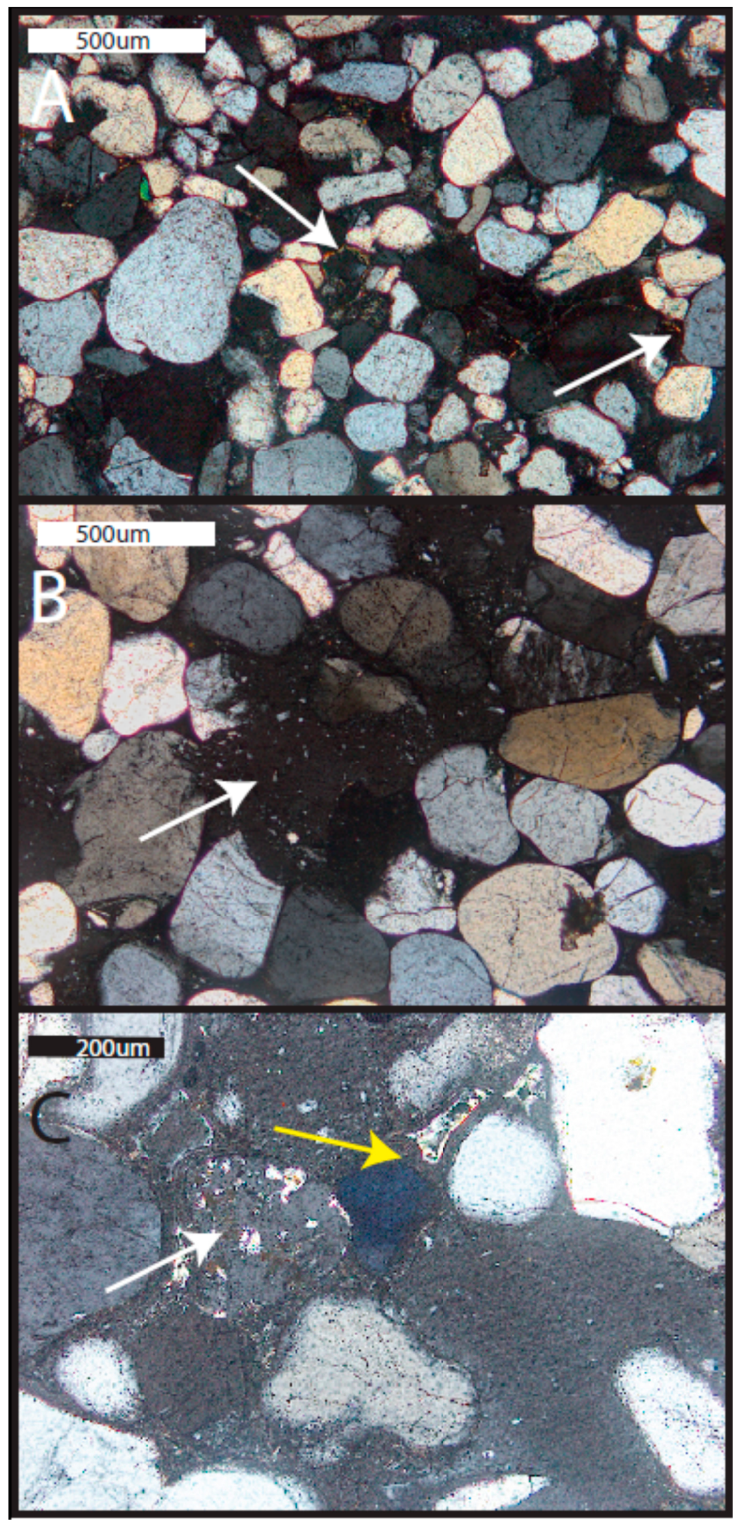 Life 08 00032 g006 Life 08 00032 g006