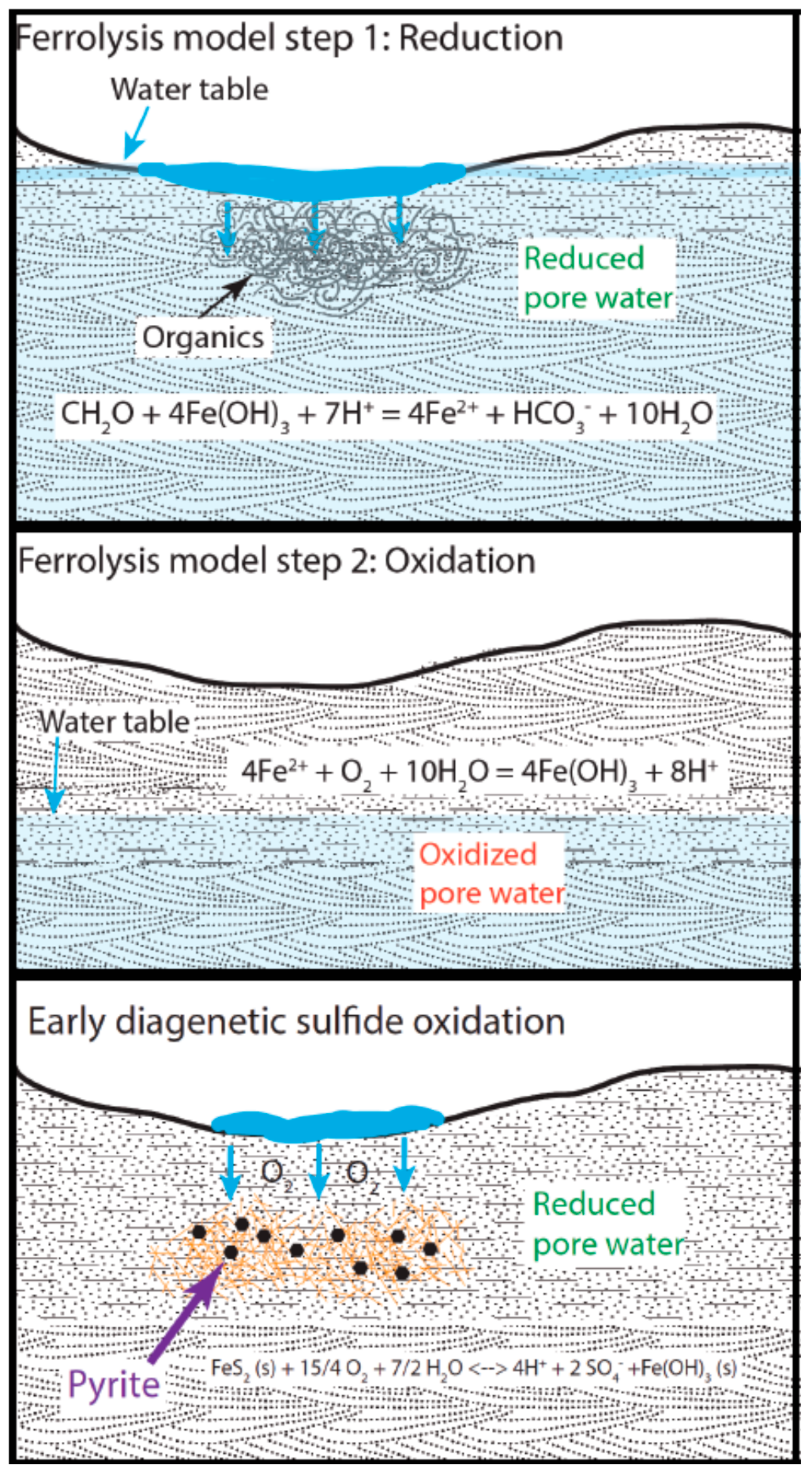 Life 08 00032 g012 Life 08 00032 g012