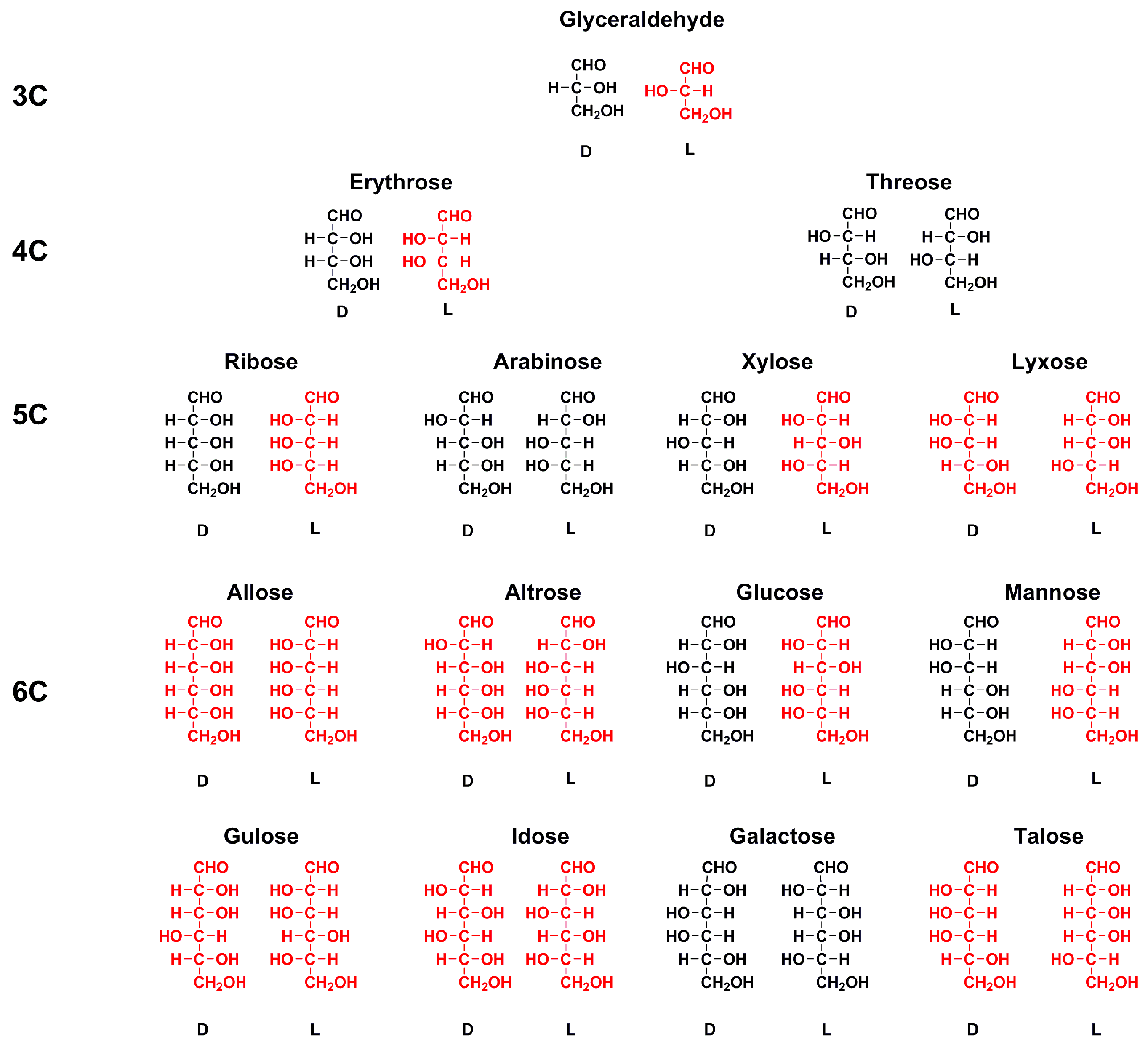 Life 08 00036 g002 Life 08 00036 g002