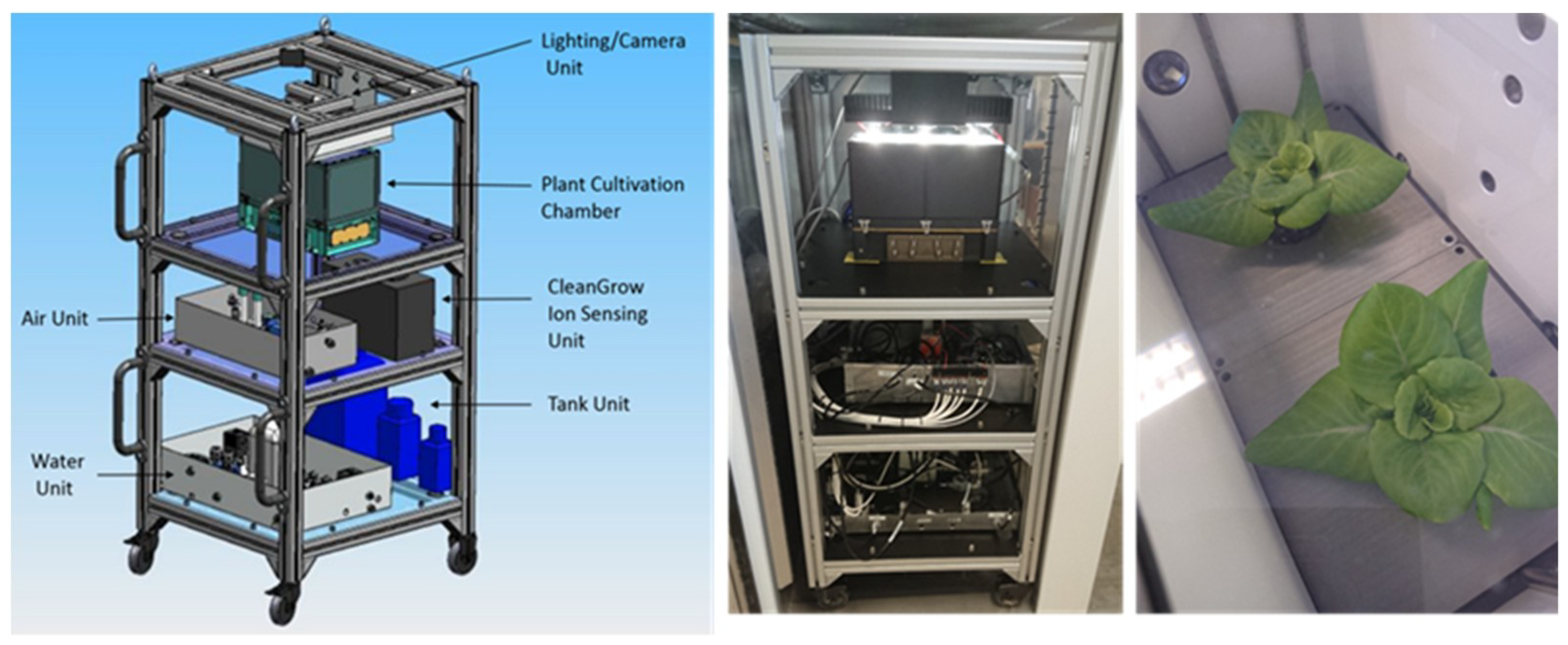 Life 08 00045 g001 Life 08 00045 g001