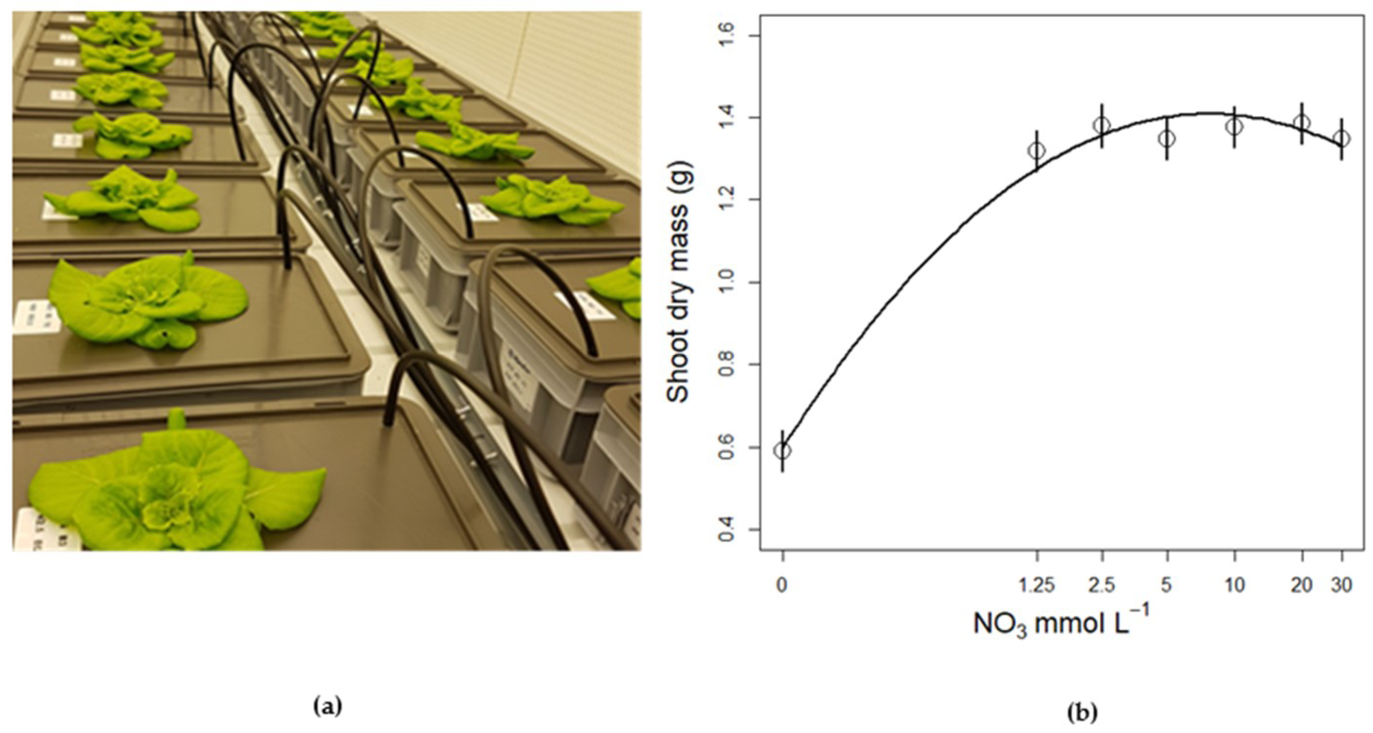 Life 08 00045 g005 Life 08 00045 g005