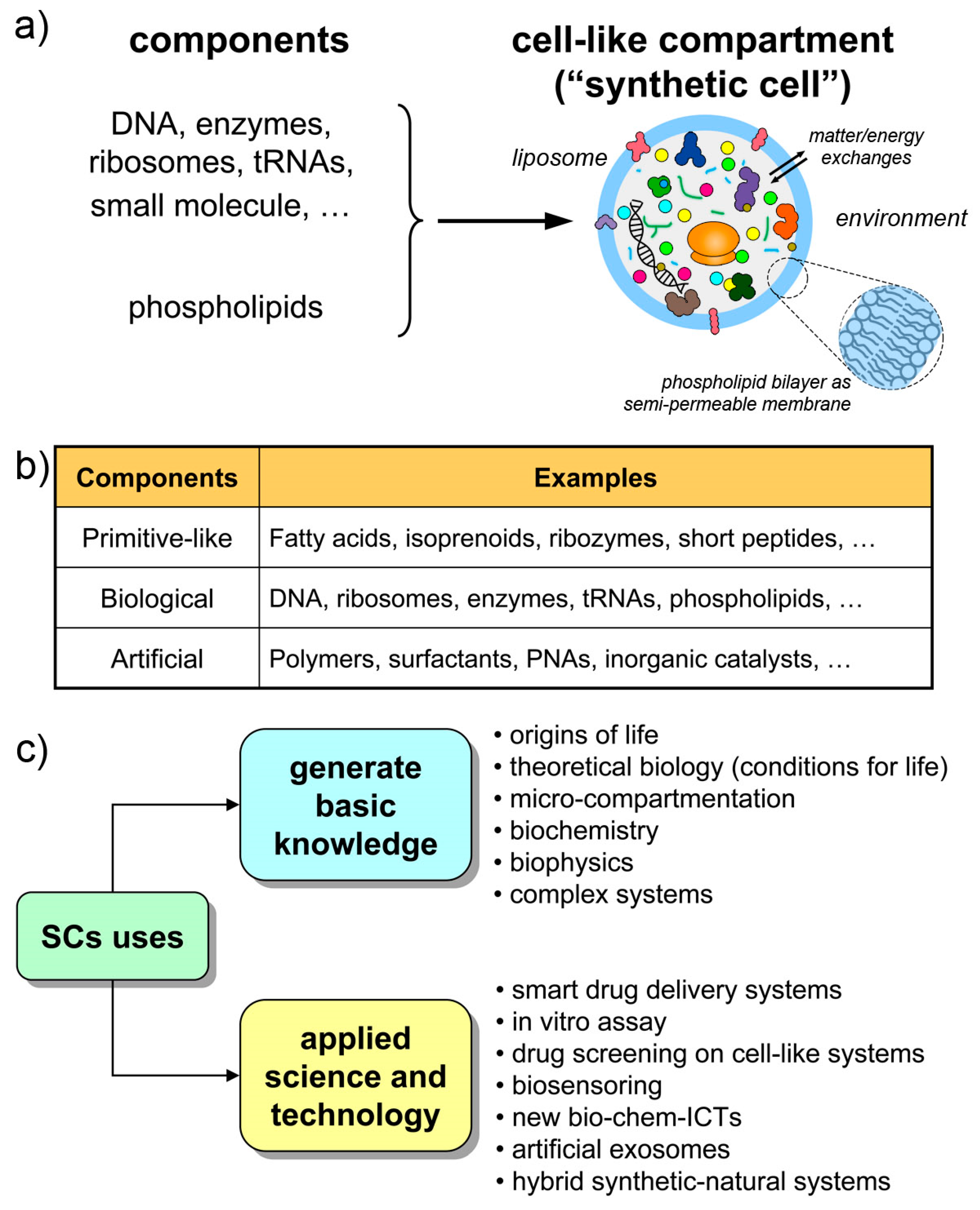 Life 09 00003 g001 Life 09 00003 g001