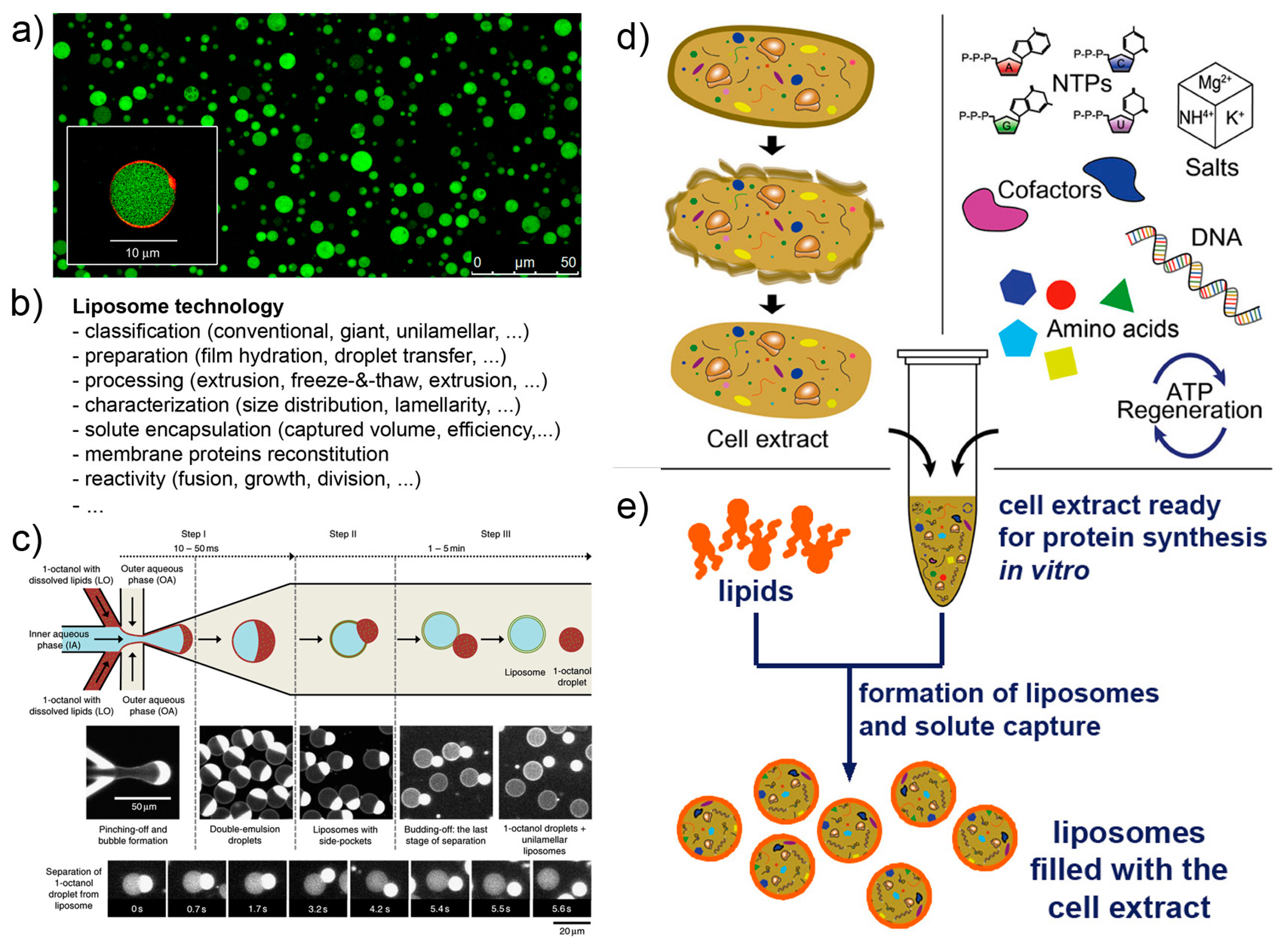 Life 09 00003 g003 Life 09 00003 g003