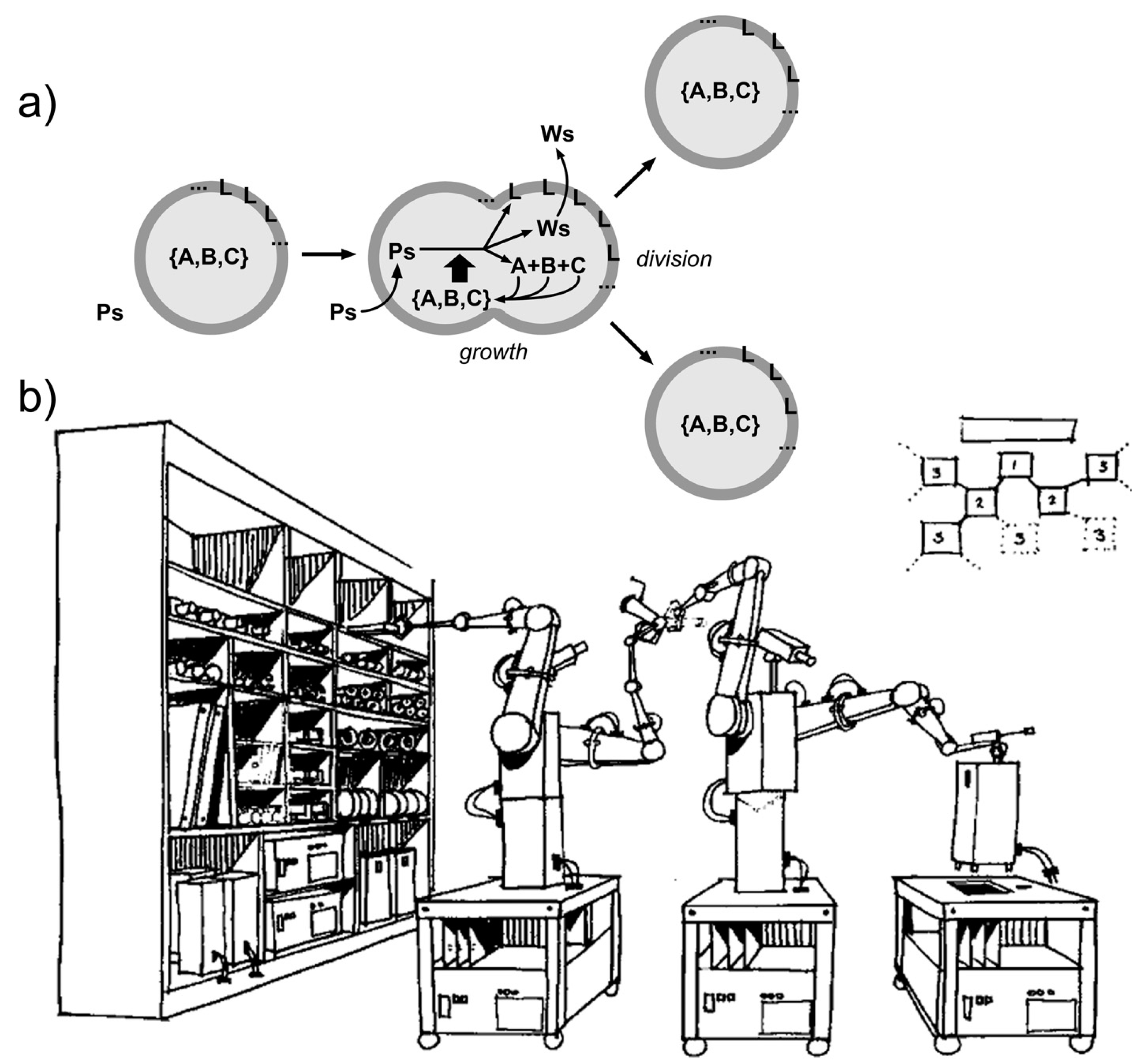 Life 09 00003 g005 Life 09 00003 g005