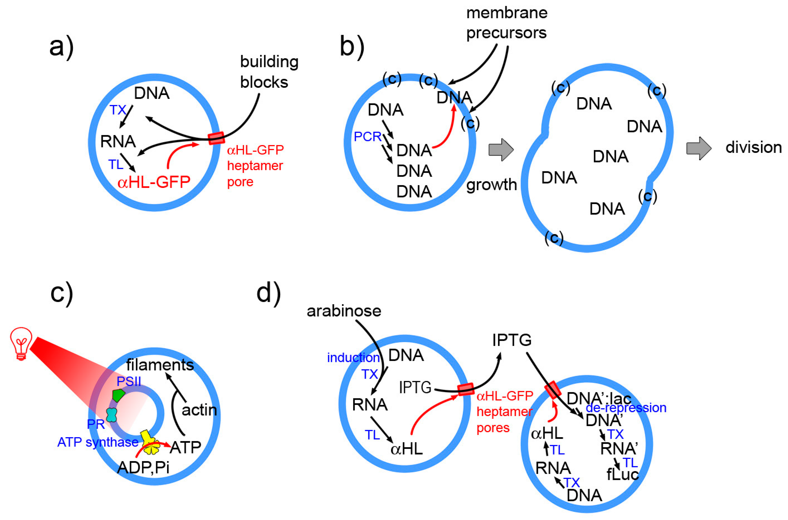 Life 09 00003 g008 Life 09 00003 g008