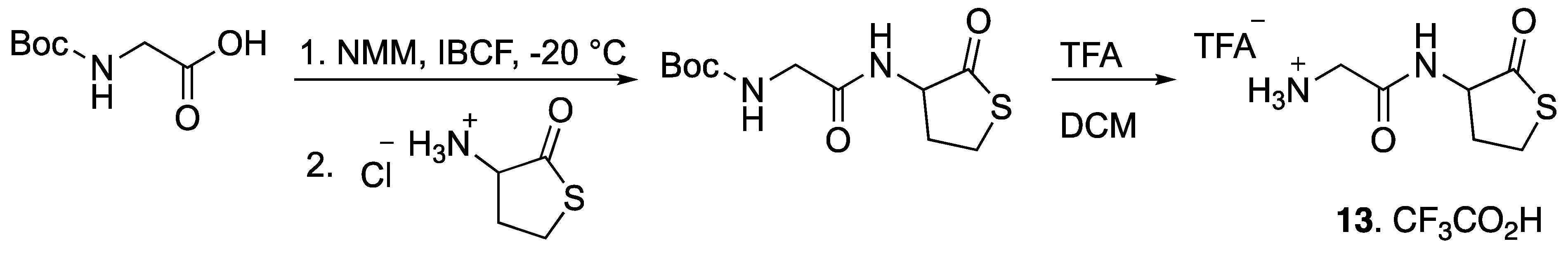 Life 09 00040 sch003
