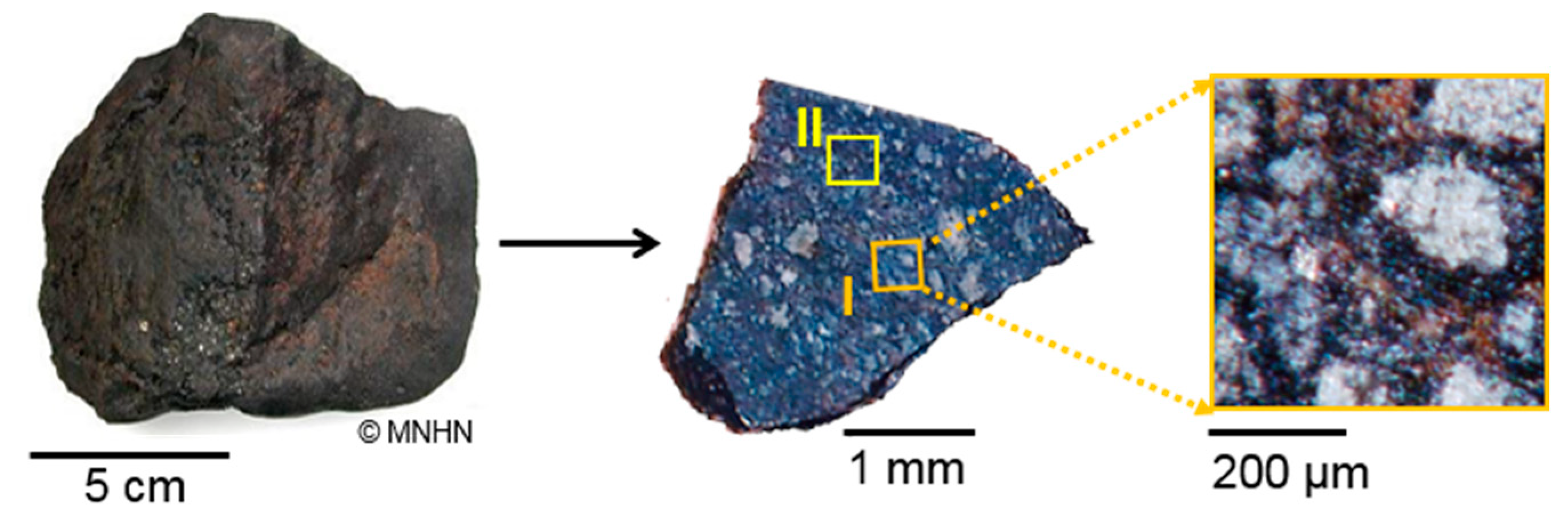 Life 09 00044 g001 Life 09 00044 g001