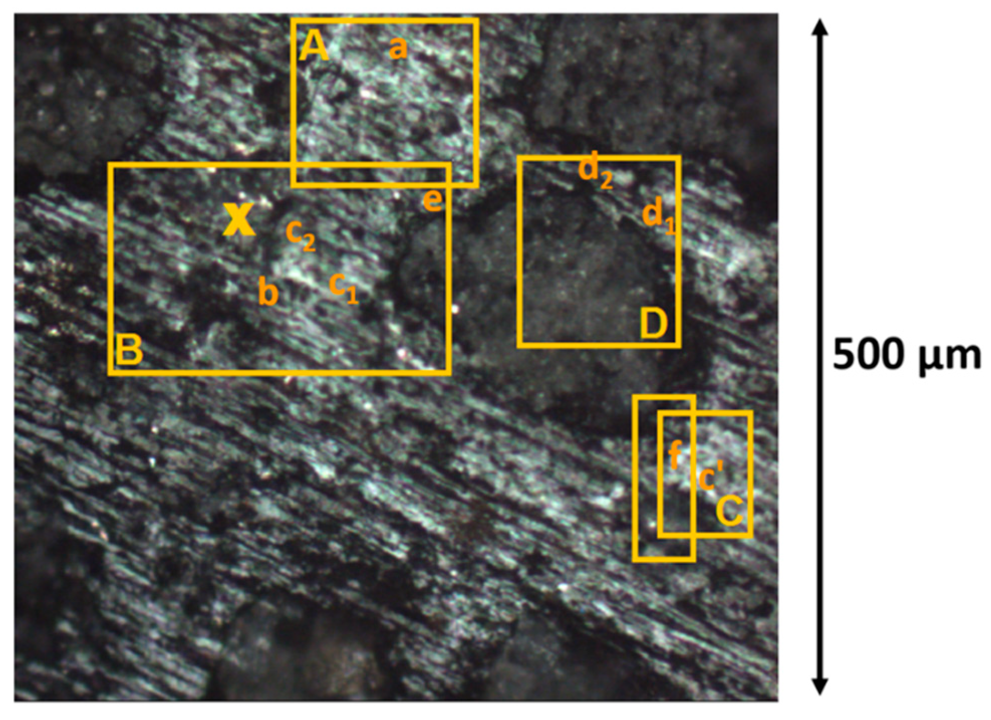 Life 09 00044 g002 Life 09 00044 g002