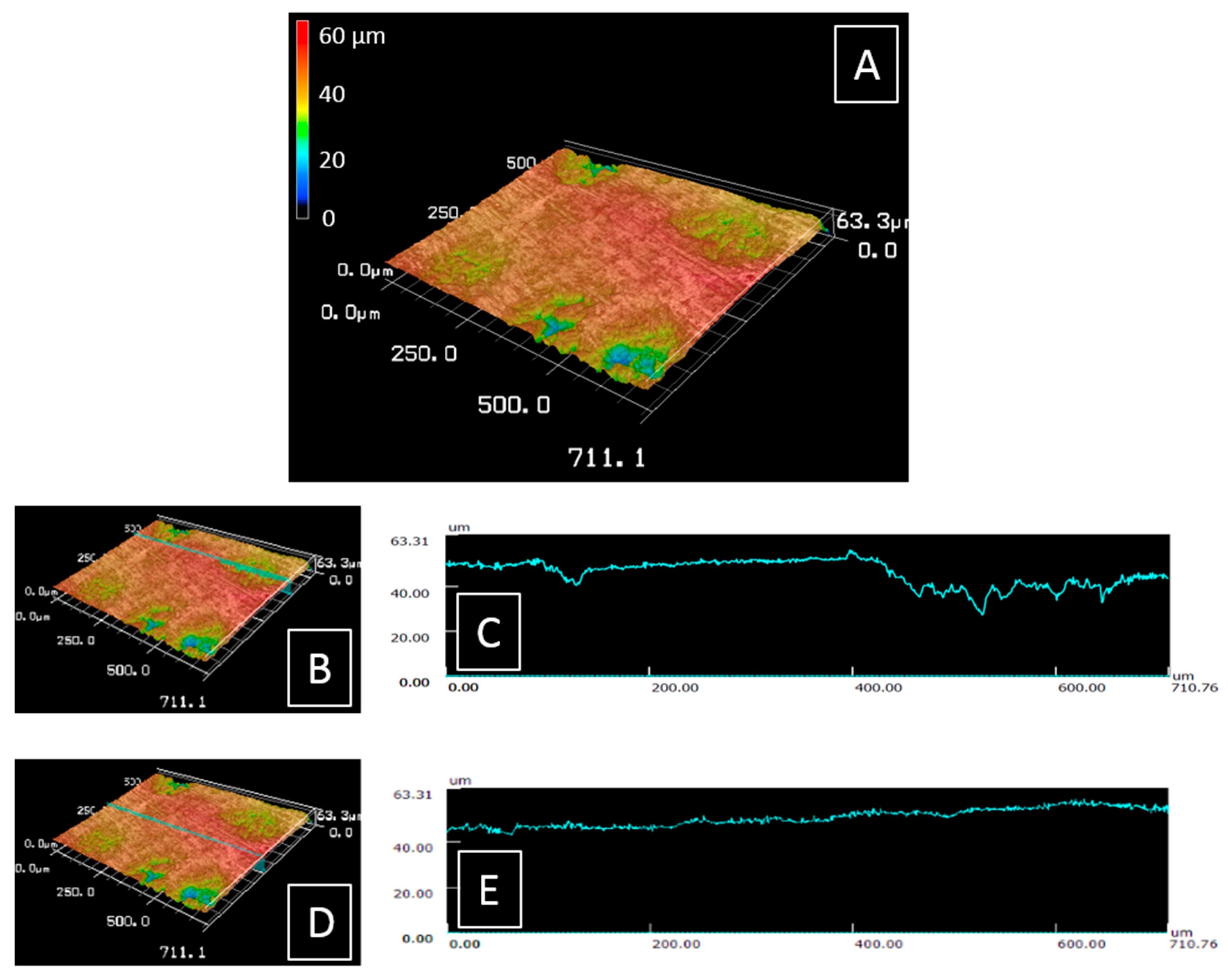 Life 09 00044 g003 Life 09 00044 g003