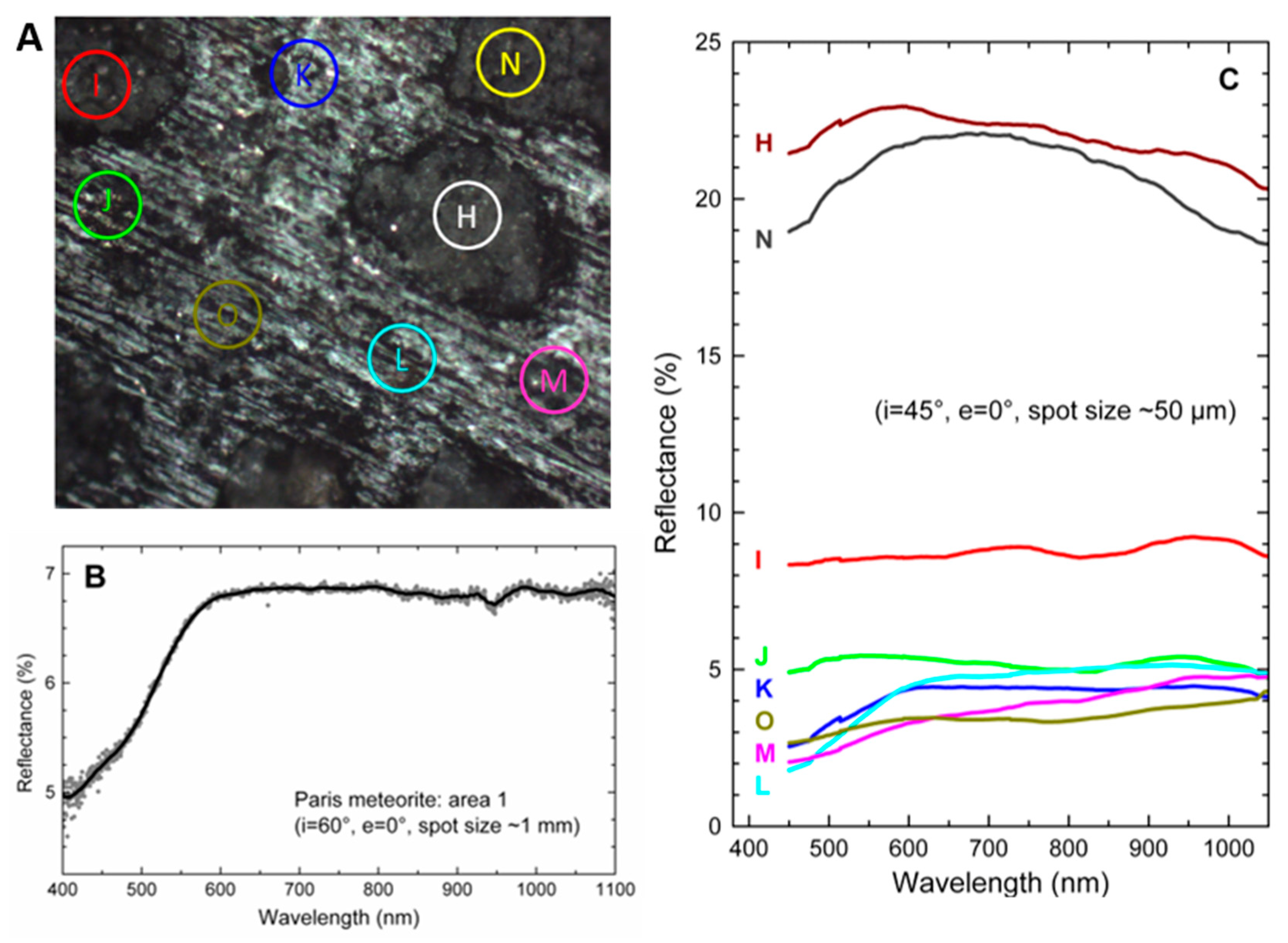 Life 09 00044 g004 Life 09 00044 g004