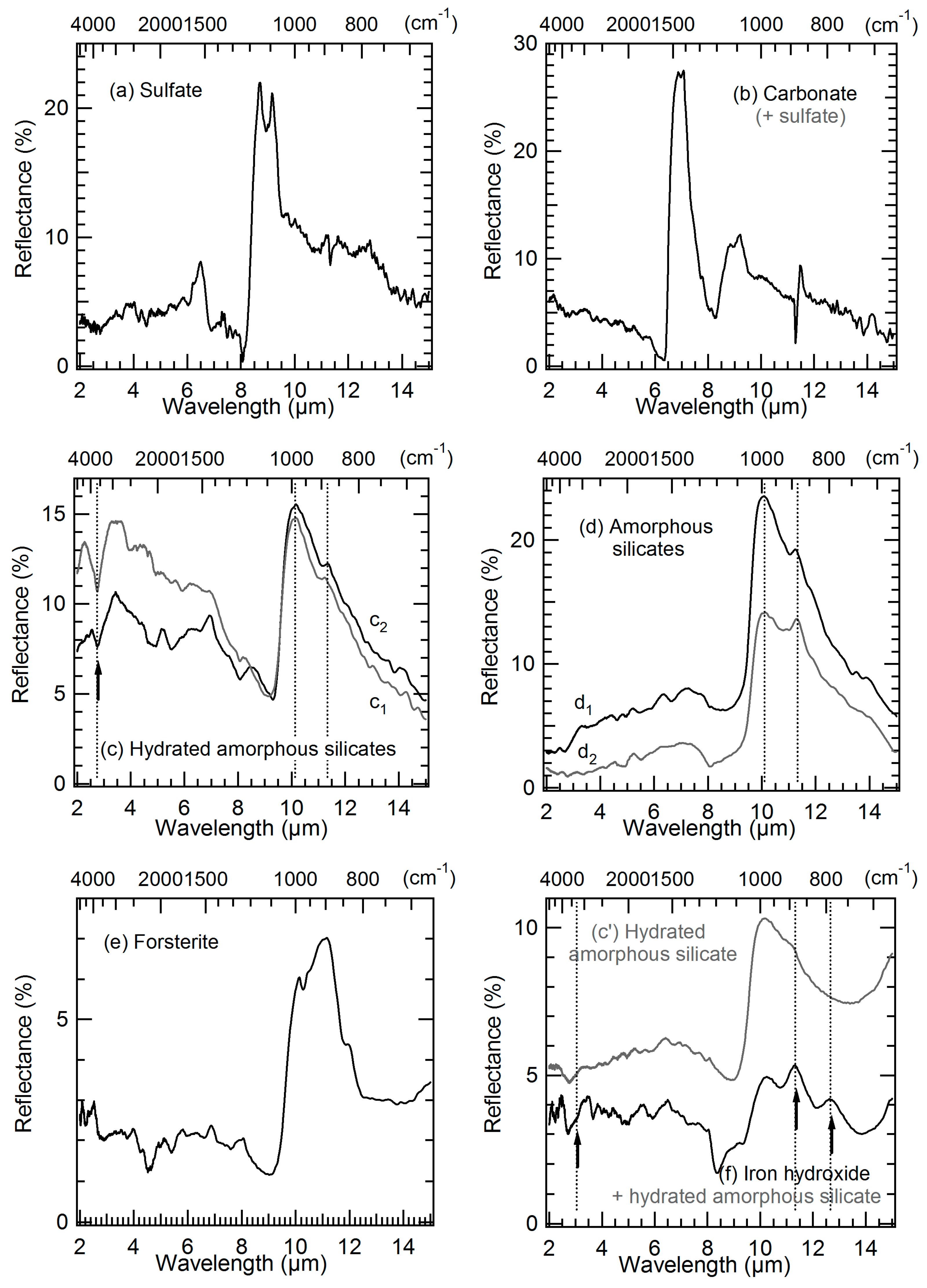Life 09 00044 g005 Life 09 00044 g005