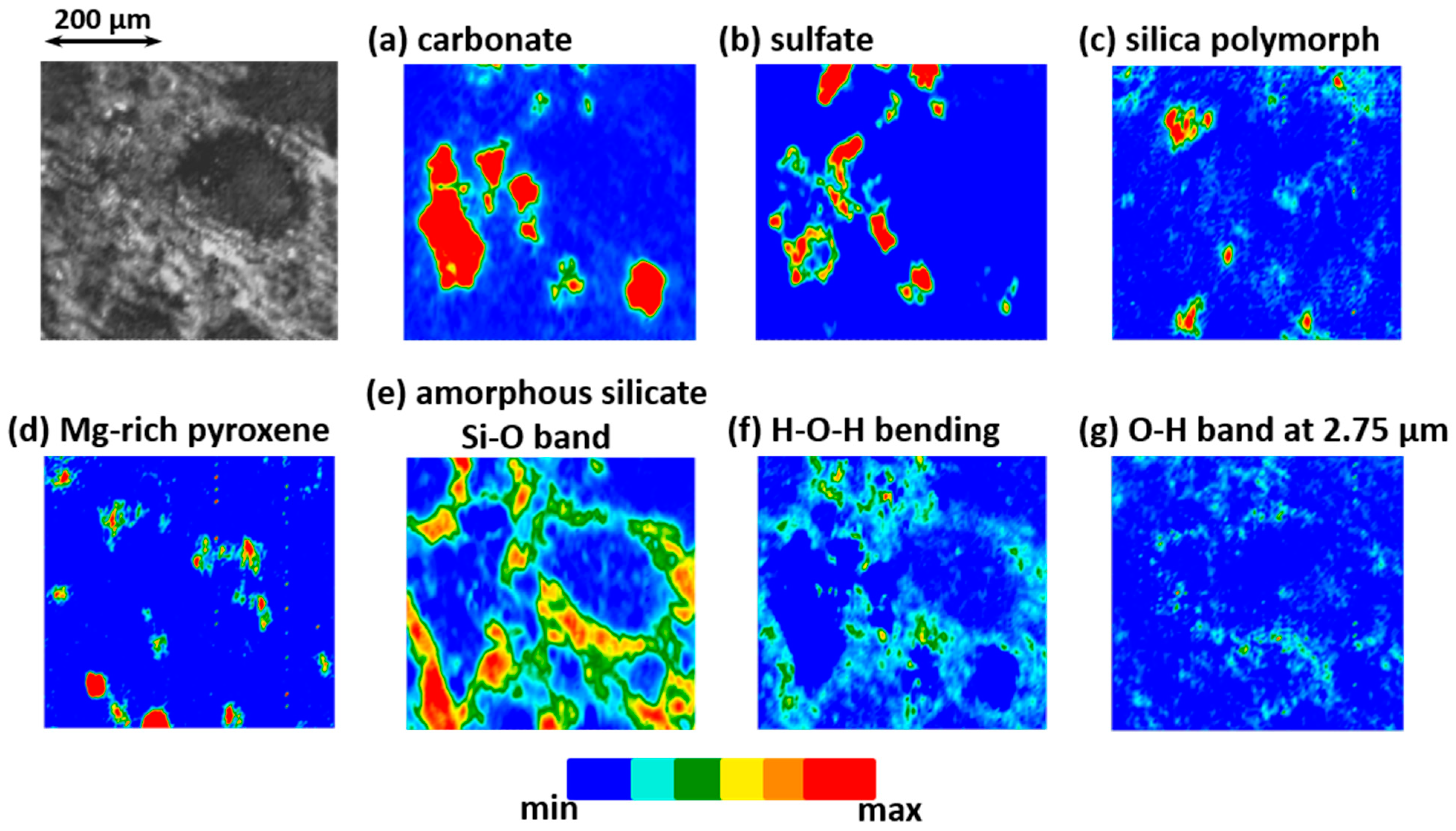 Life 09 00044 g007 Life 09 00044 g007