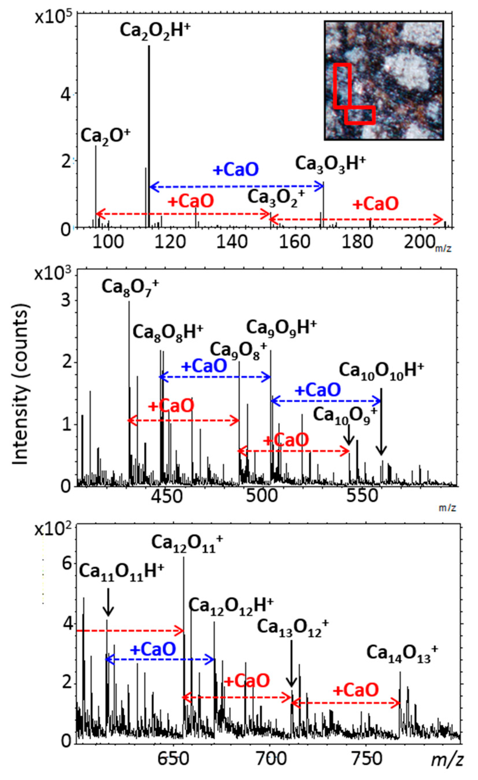 Life 09 00044 g013 Life 09 00044 g013
