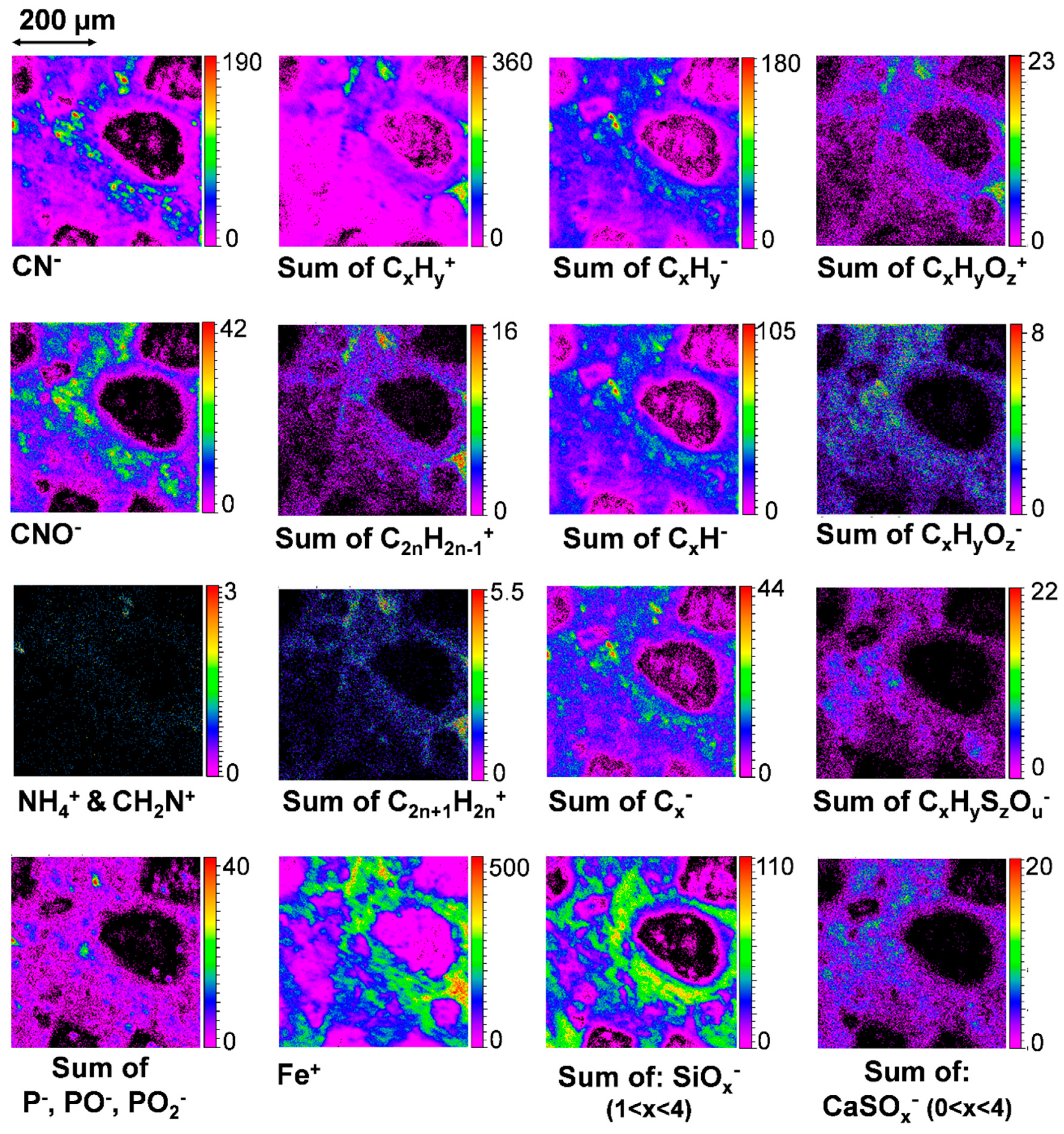 Life 09 00044 g014 Life 09 00044 g014