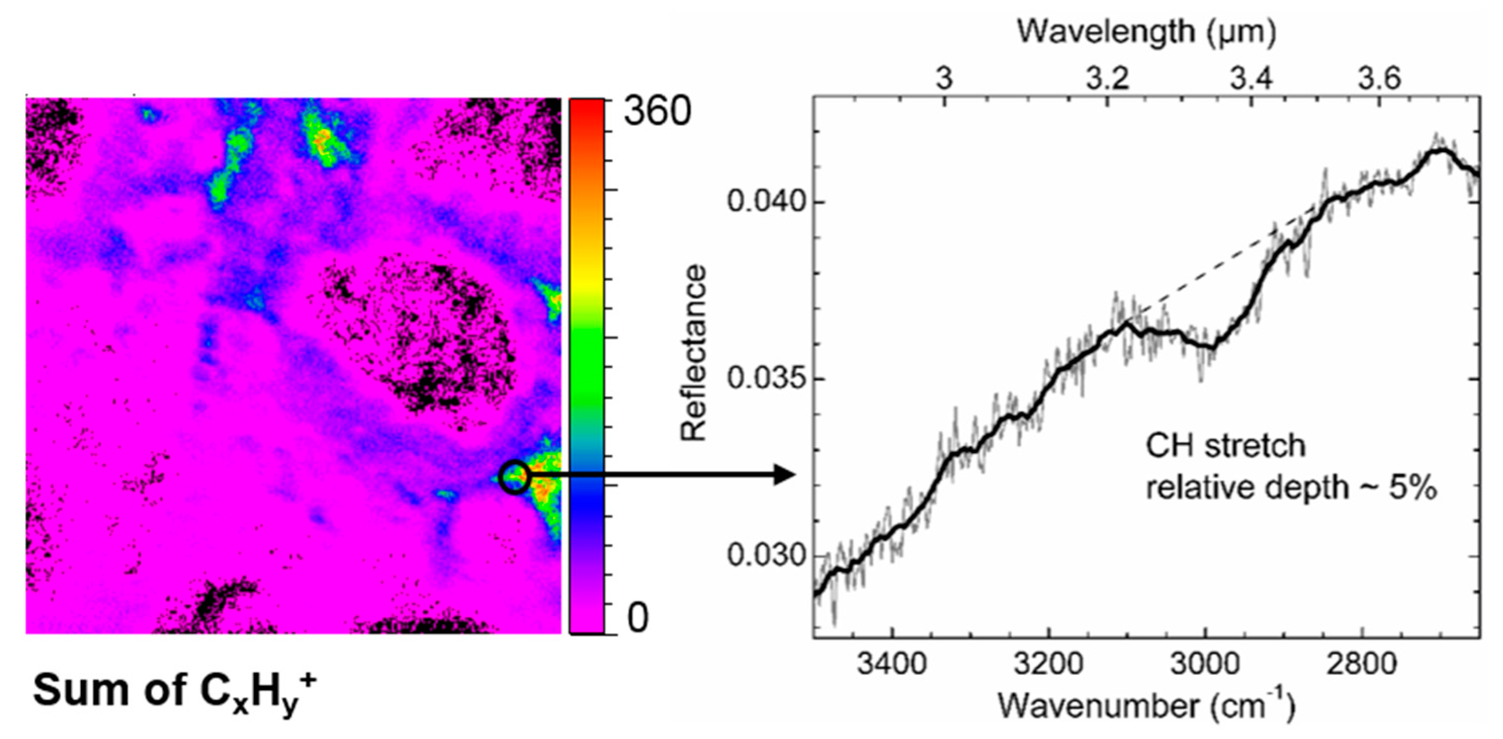 Life 09 00044 g023 Life 09 00044 g023