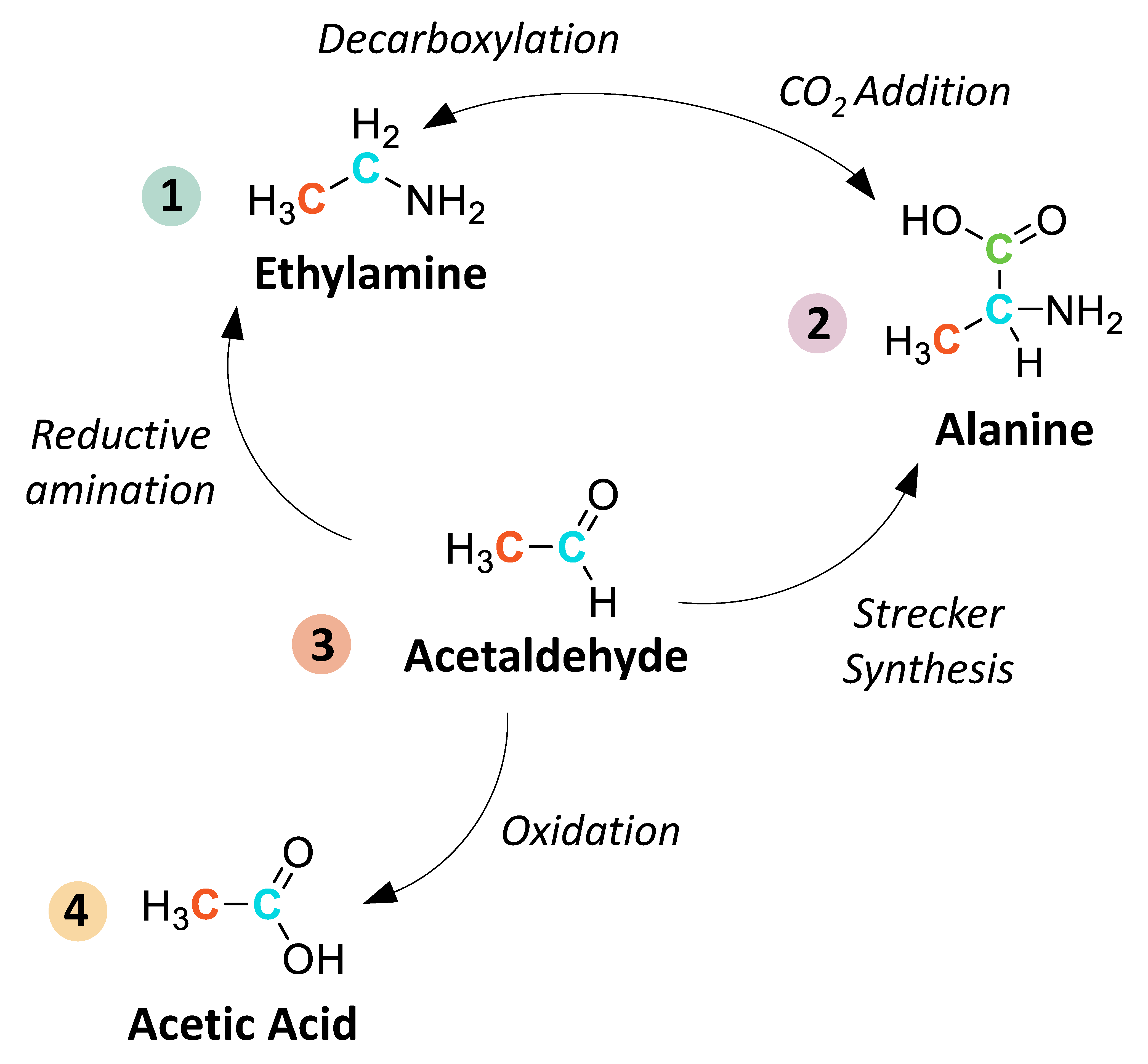 Life 09 00047 sch001
