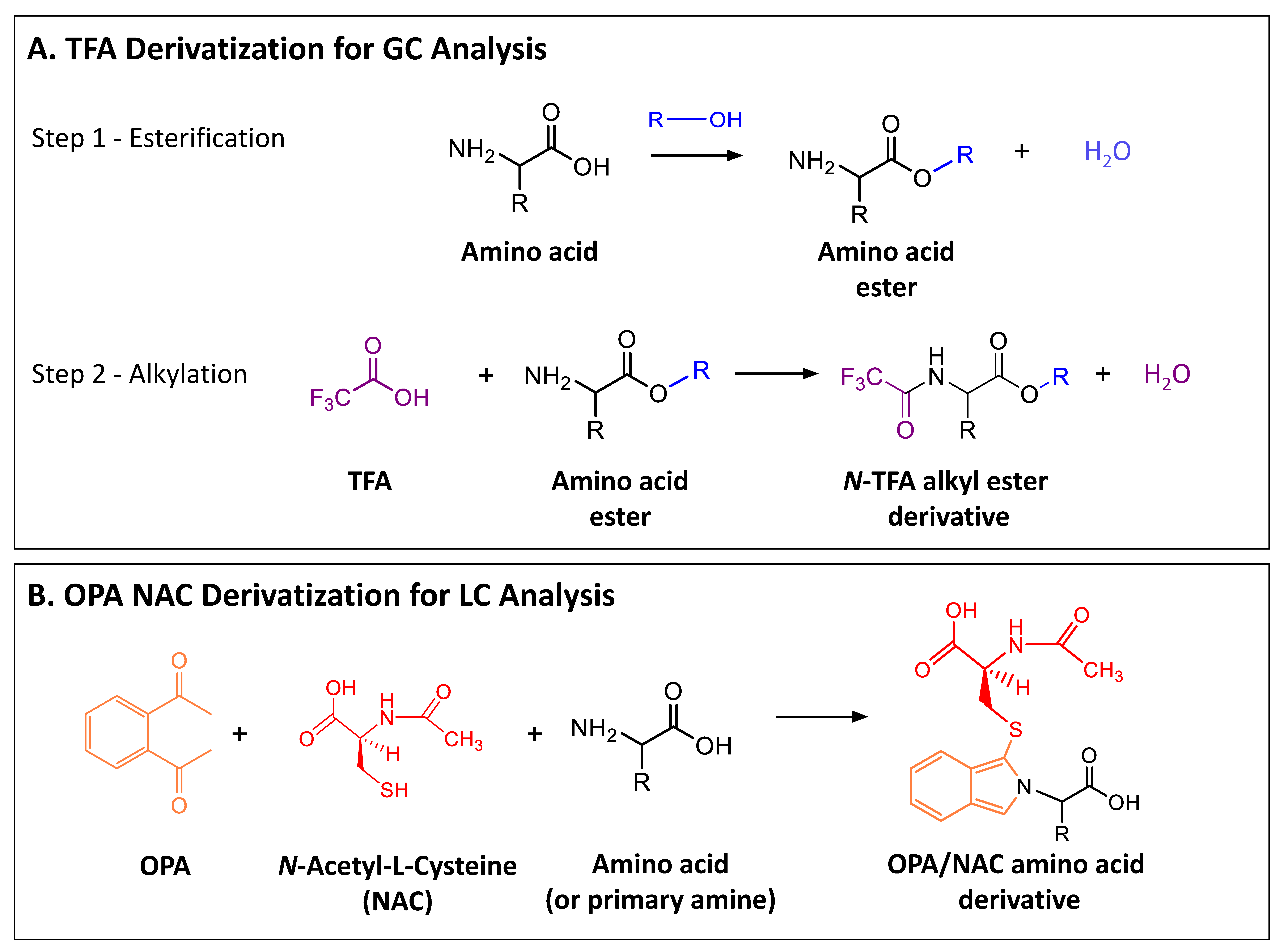 Life 09 00047 sch002