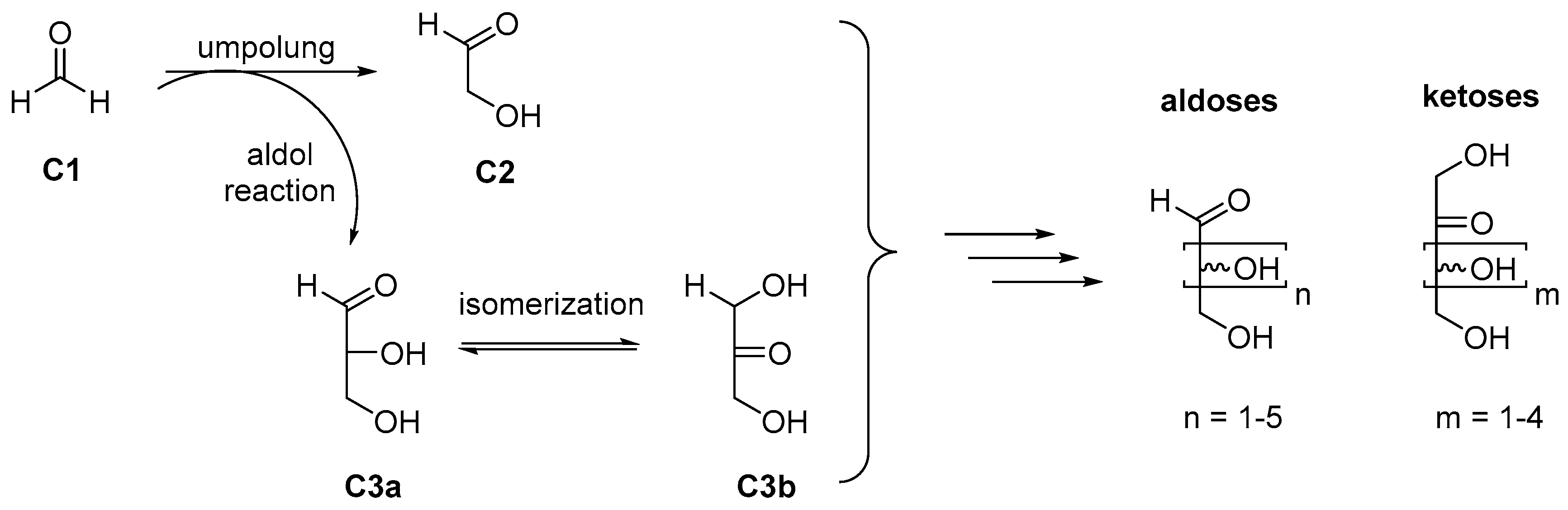 Life 09 00052 sch001 Life 09 00052 sch001