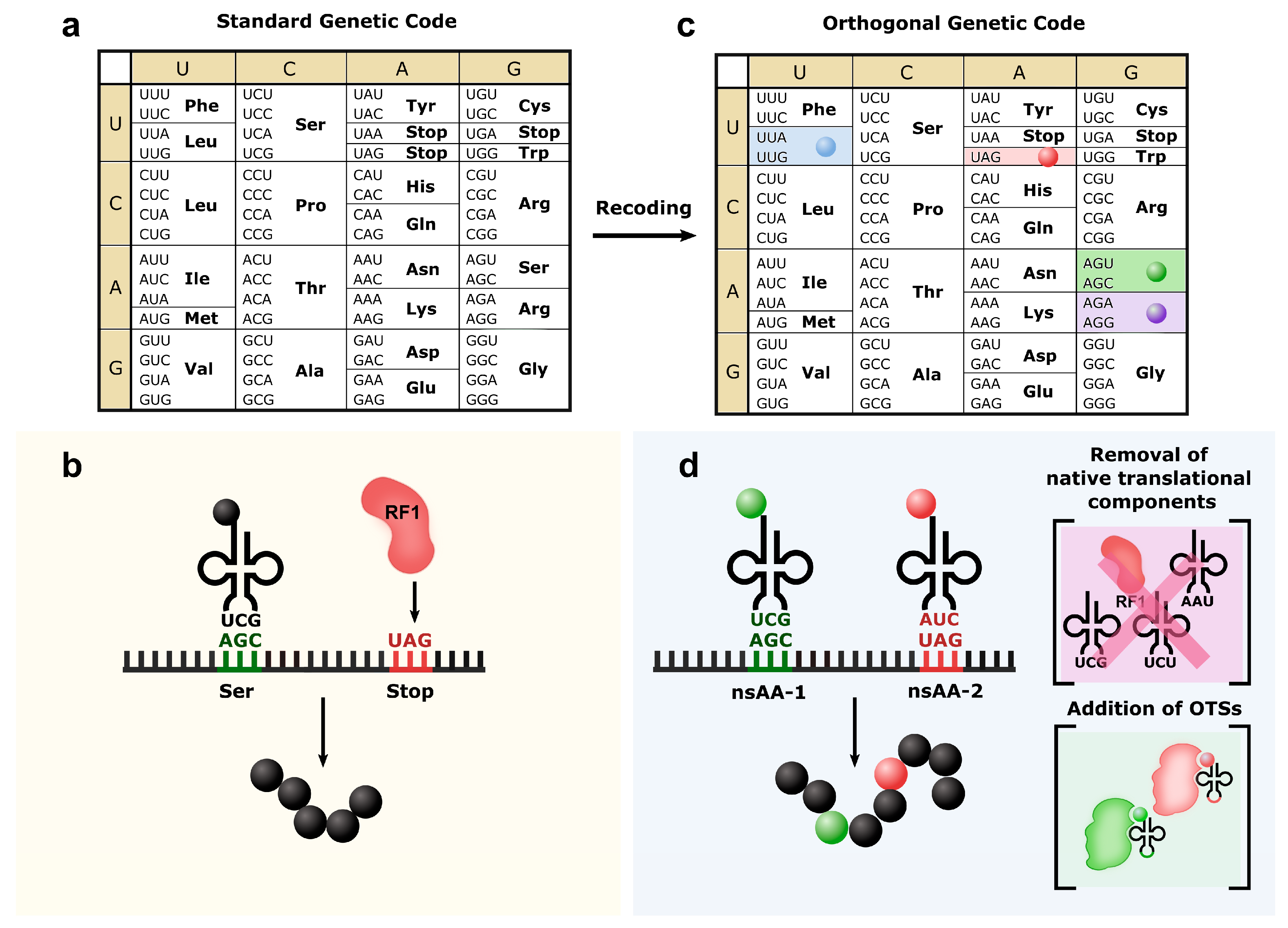 Life 09 00058 g002 Life 09 00058 g002