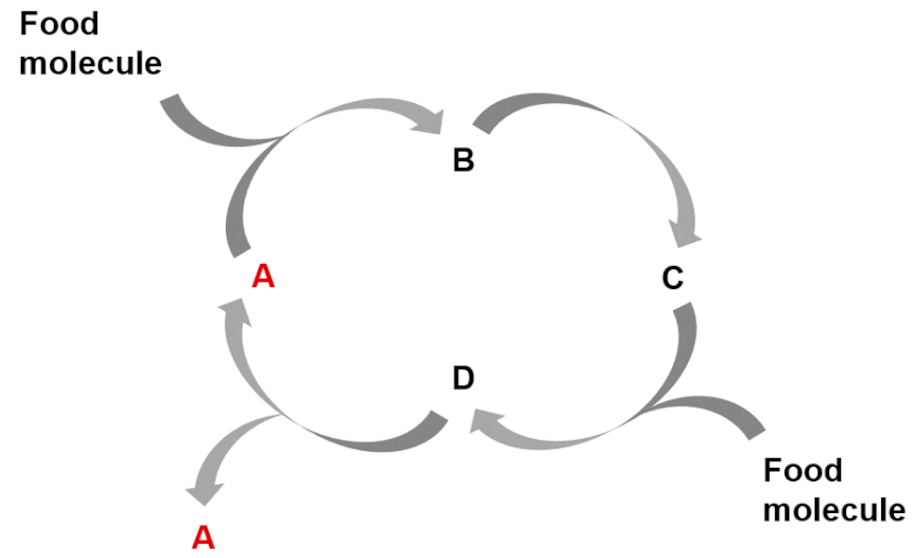 Life 09 00066 i006