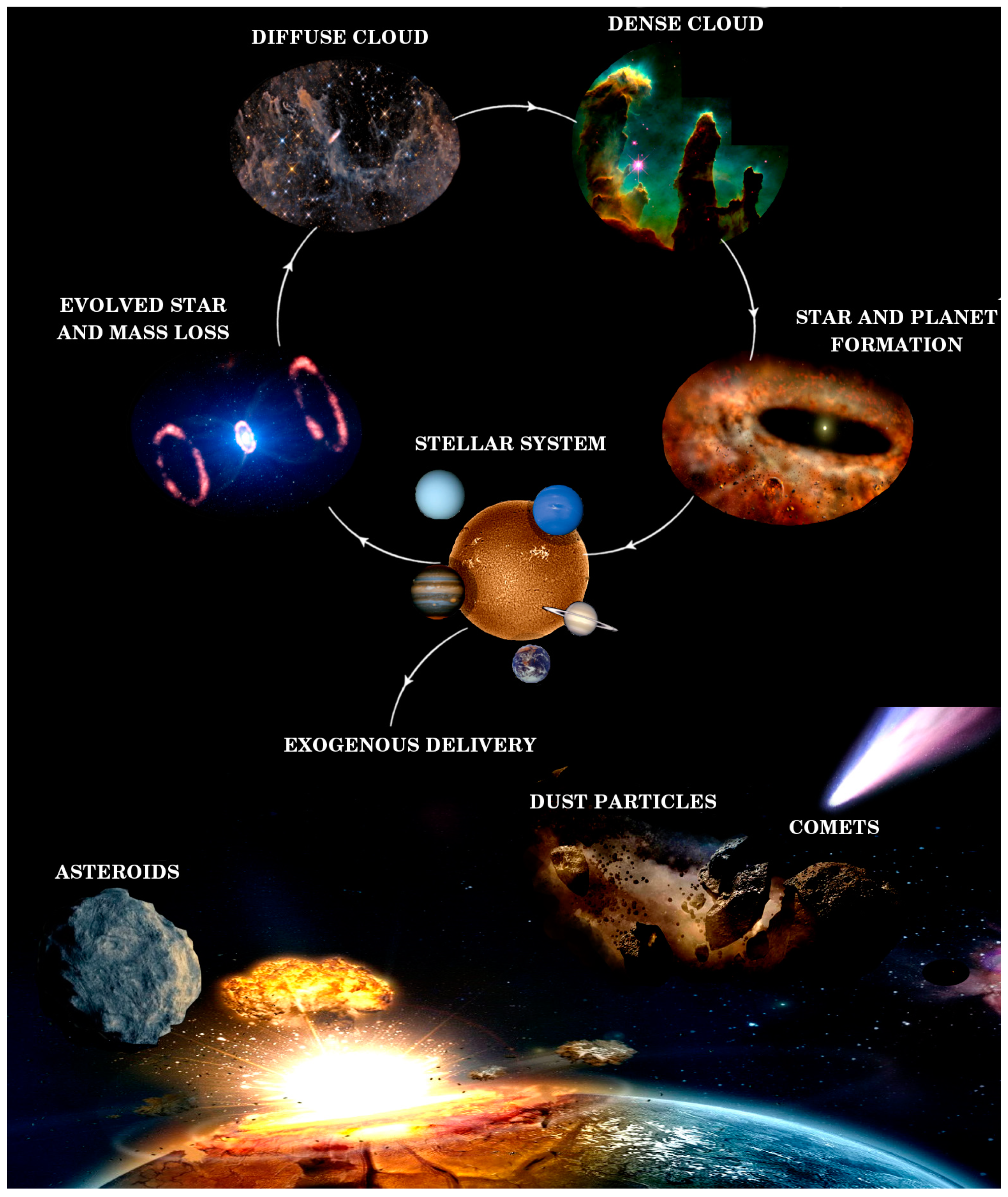 Life 09 00072 g001 Life 09 00072 g001