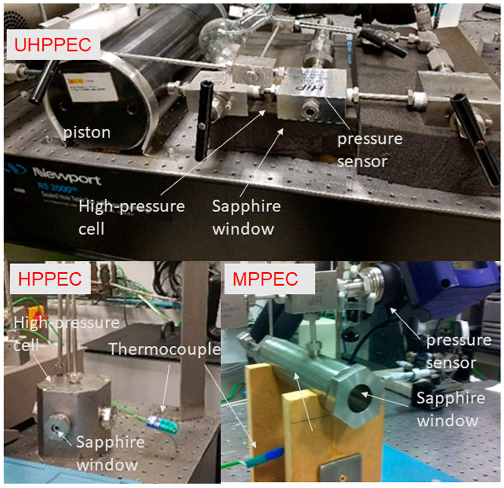 Life 09 00072 g004 Life 09 00072 g004