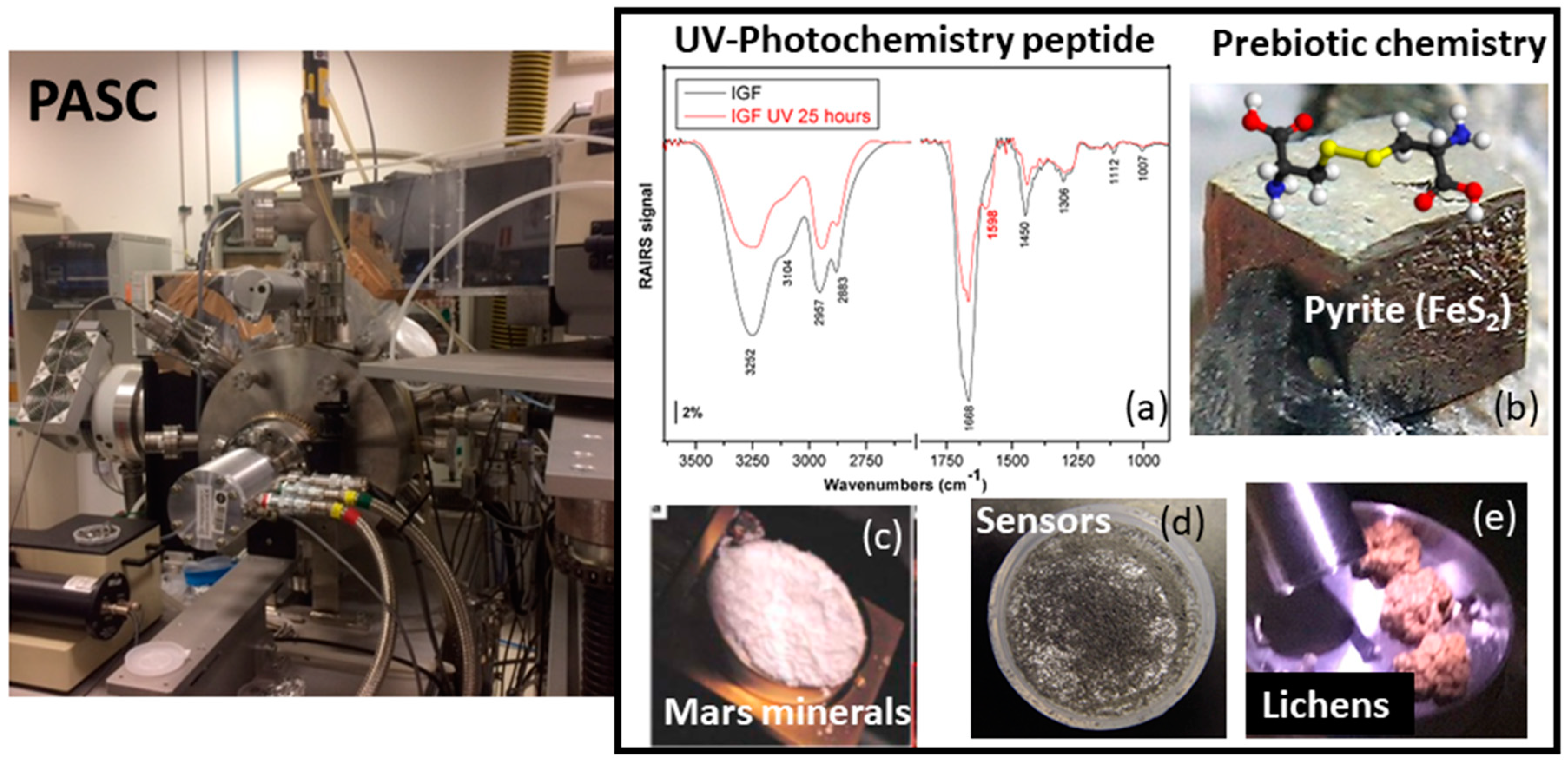 Life 09 00072 g005 Life 09 00072 g005
