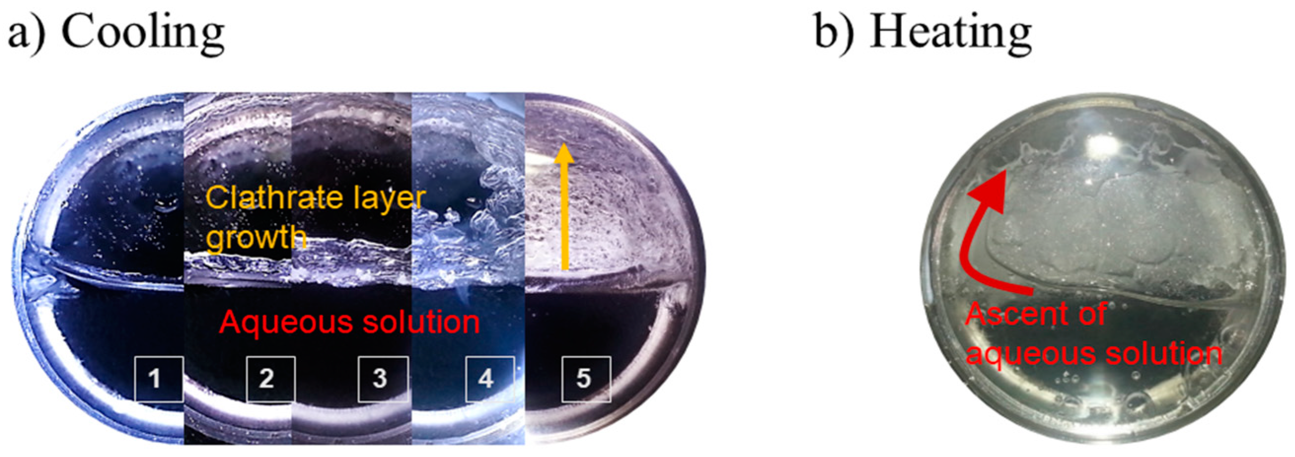 Life 09 00072 g007 Life 09 00072 g007