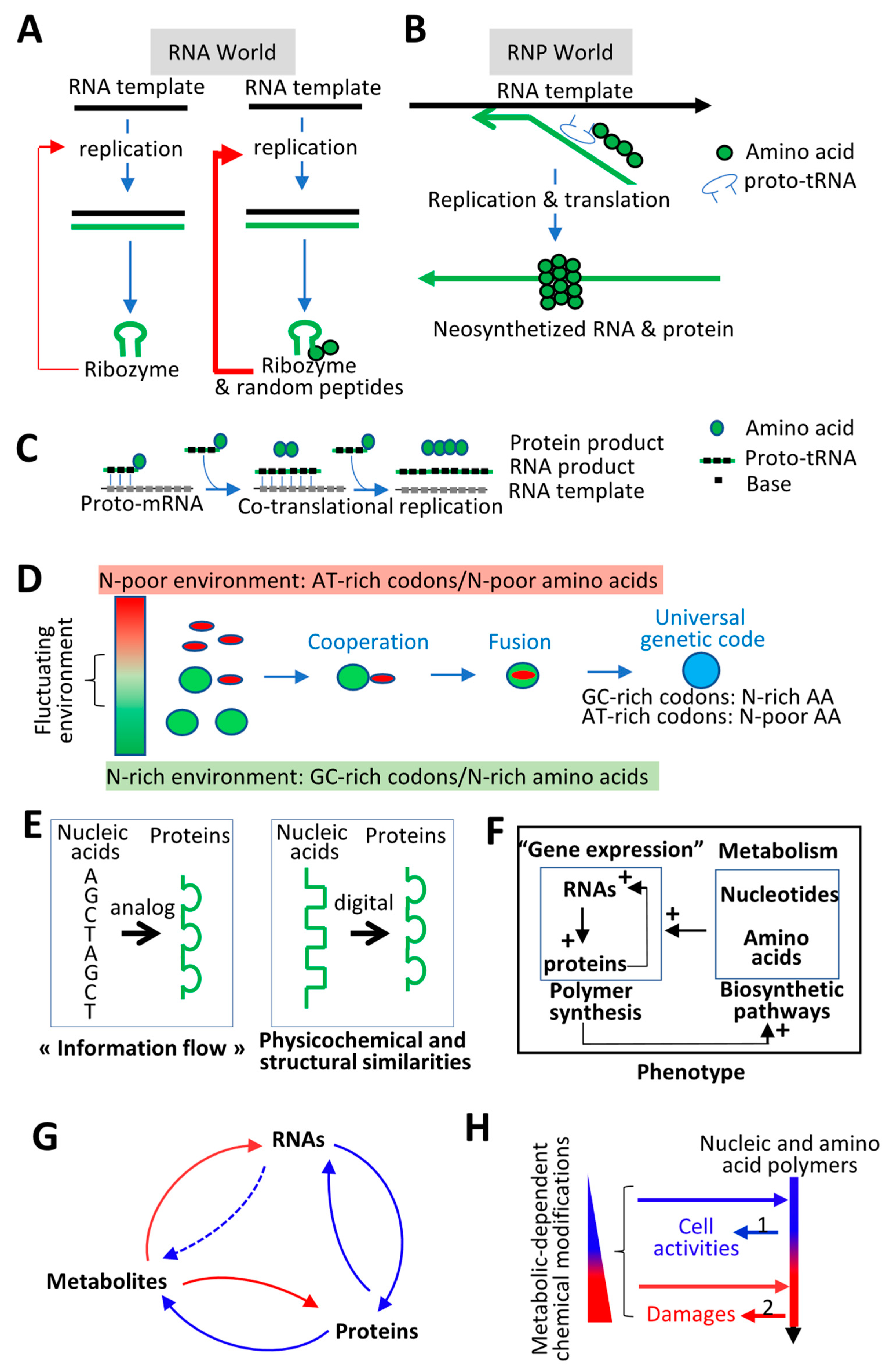 Life 10 00007 g003 Life 10 00007 g003