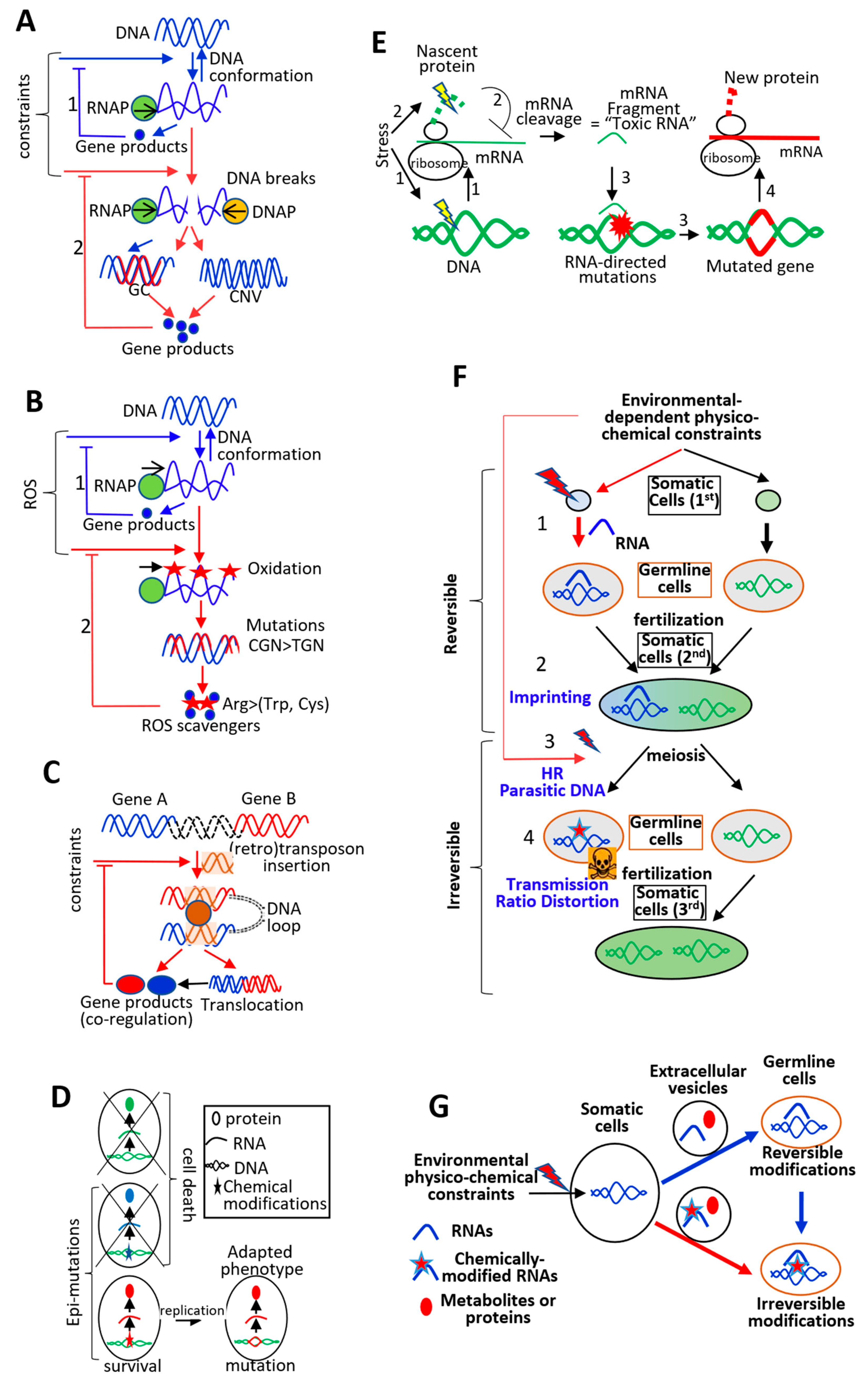 Life 10 00007 g004 Life 10 00007 g004