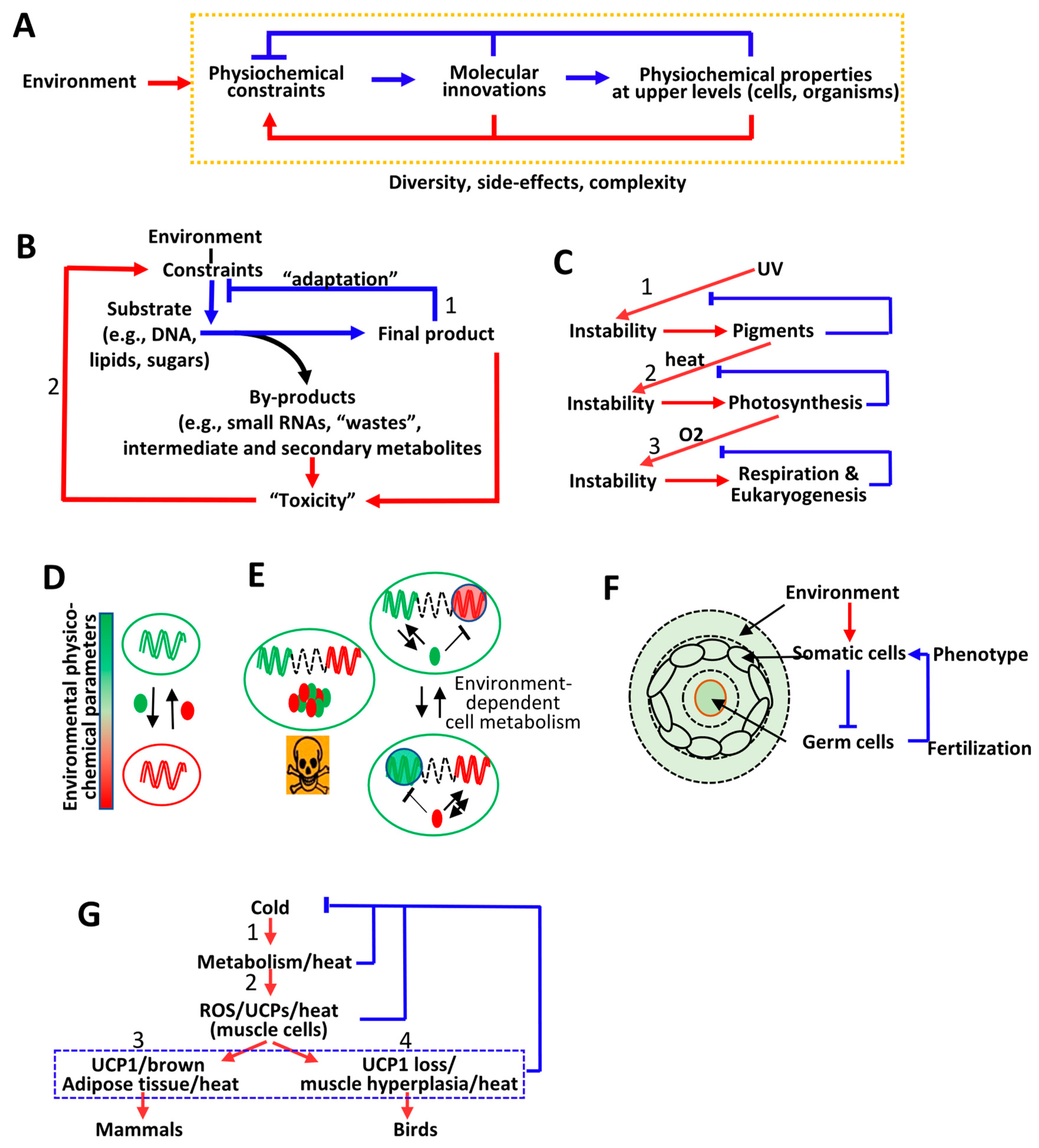 Life 10 00007 g005 Life 10 00007 g005